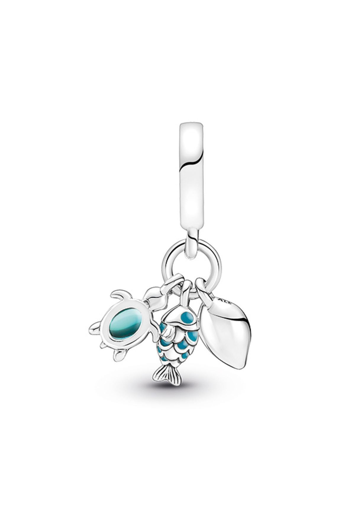 چارم آبی ماهی ، لاک پشت دریایی و پوسته جذابیت سه گانه Pandora
