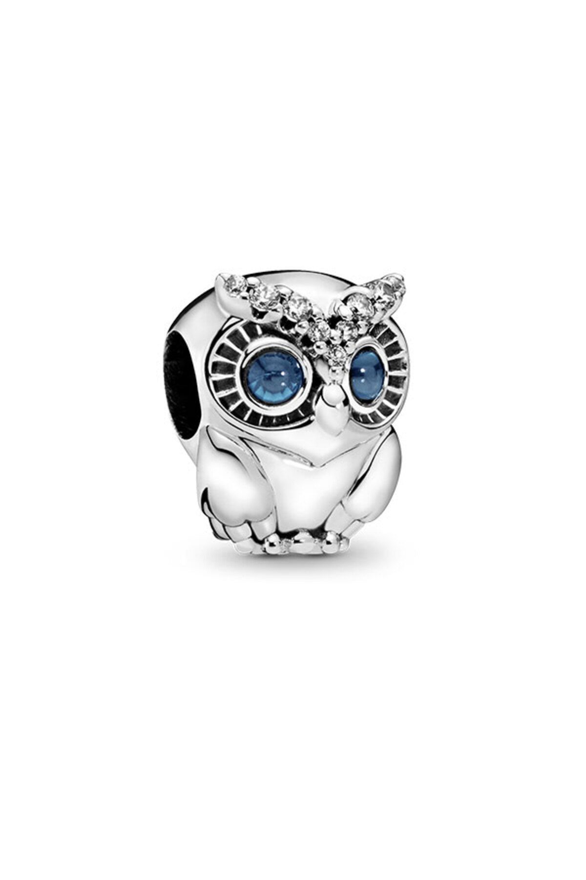 Sparkling Owl Charm