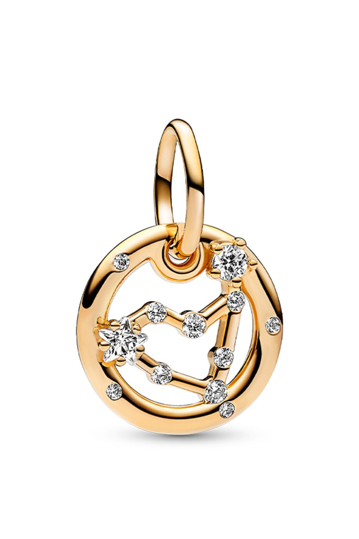 Capricorn Swinging Charm