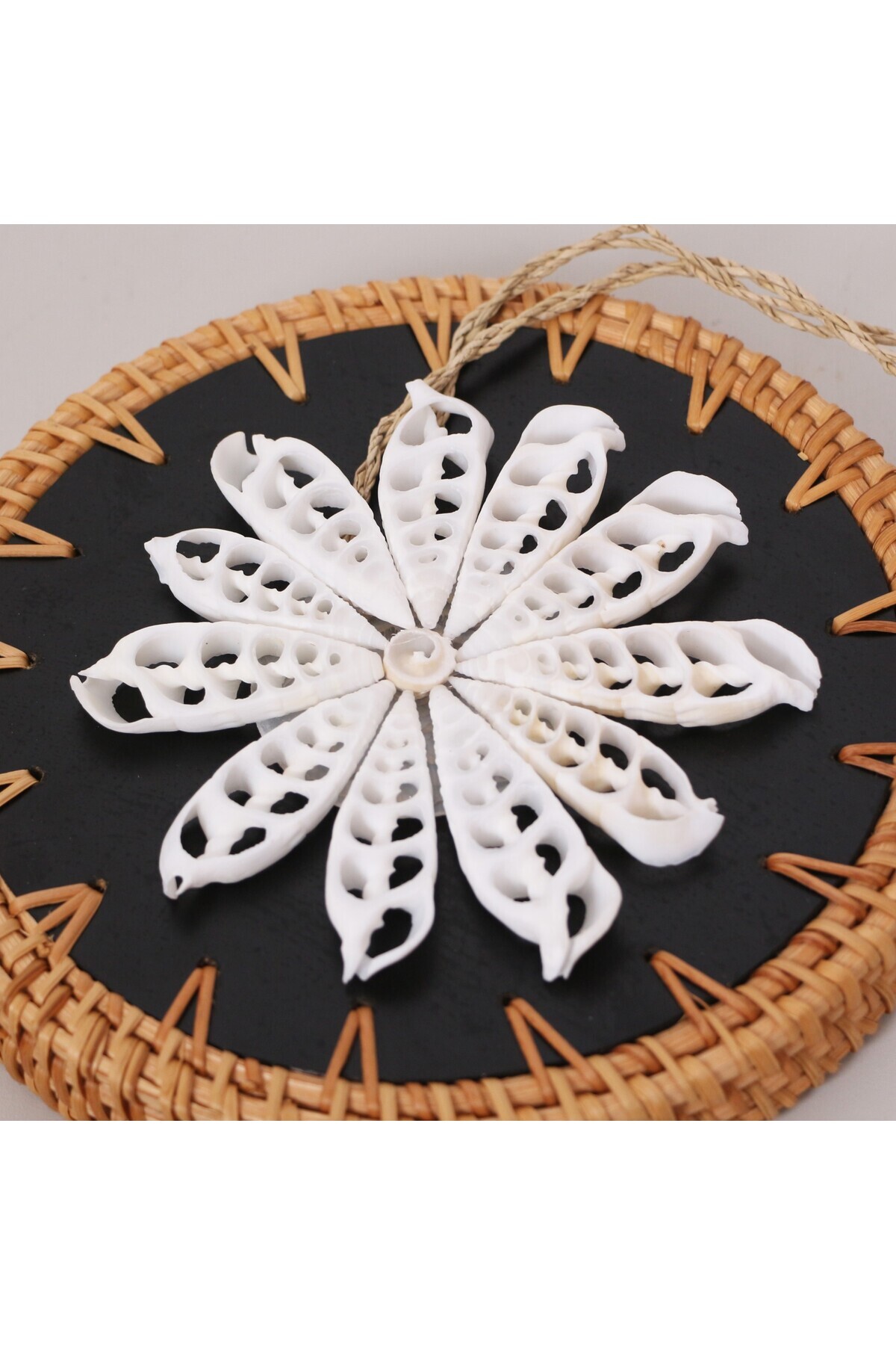 Mylamp-Christmas Decor Sea Shell Star 13 cm 4