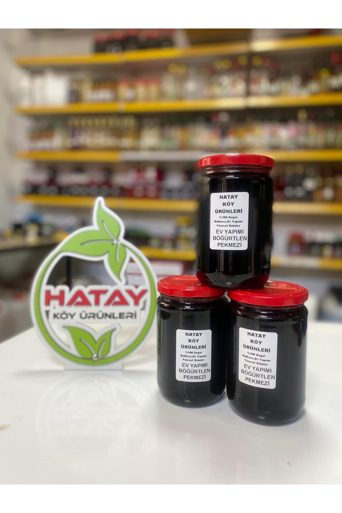 HATAY KÖY ÜRÜNLERİ EV YAPIMI BÖĞÜRTLEN PEKMEZİ 850 GR