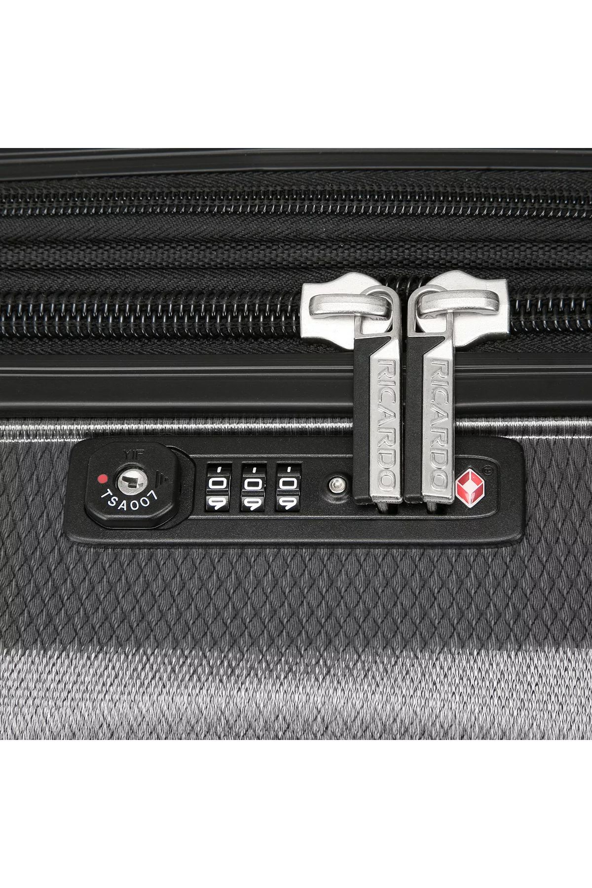 Ricardo-Cabin Bag Polycarbonate with ABS Hardcase Four-Wheeler Spinner Trolley Bag 056-19 5