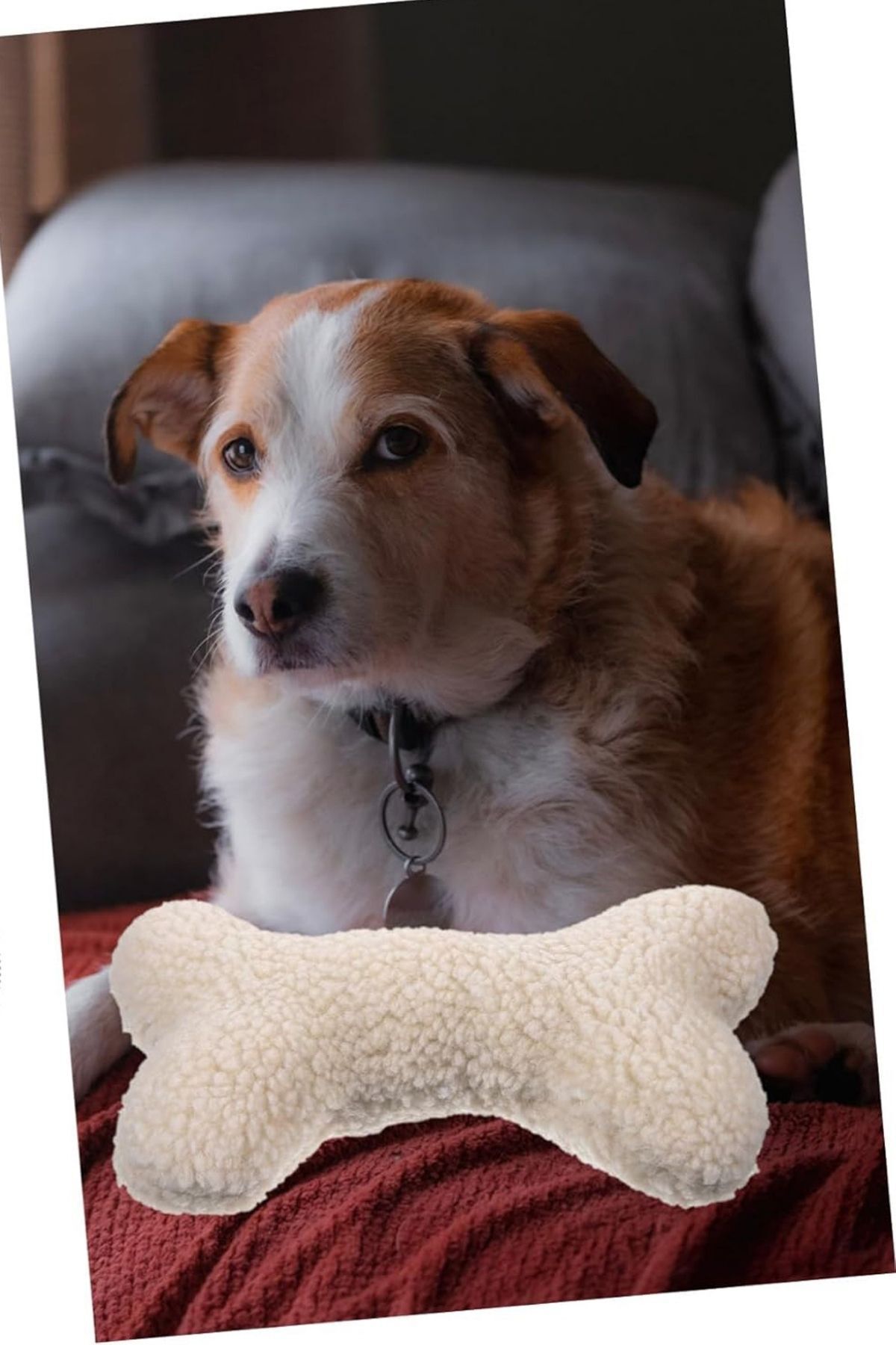 Nurnivus-Osseous Dog Stress Teething Traction Pillow Toy Dog Play Pillow Dog Toy 5
