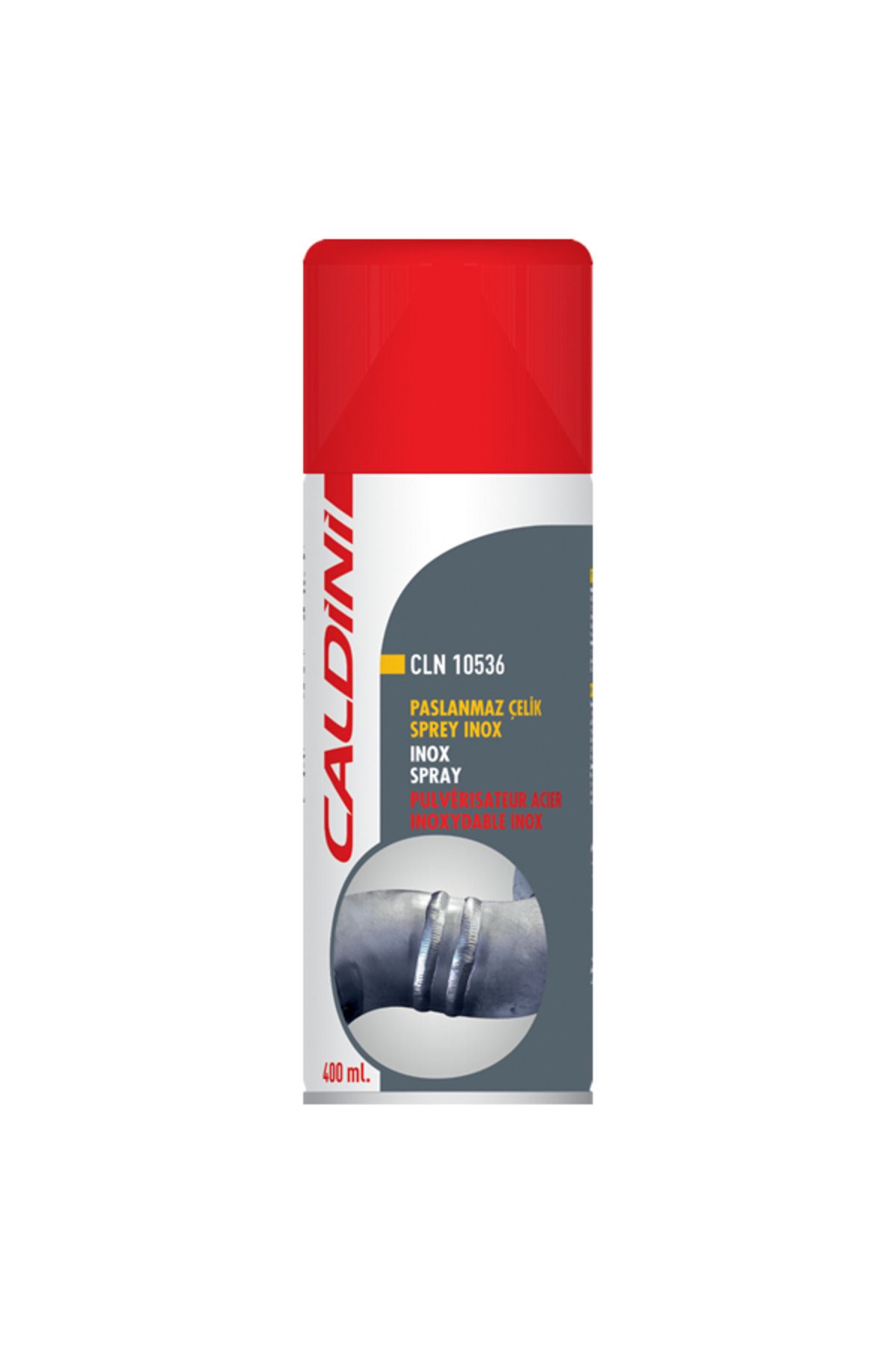 CALDİNİ CALDİNİ 400 ml Paslanmaz Çelik Inox Sprey