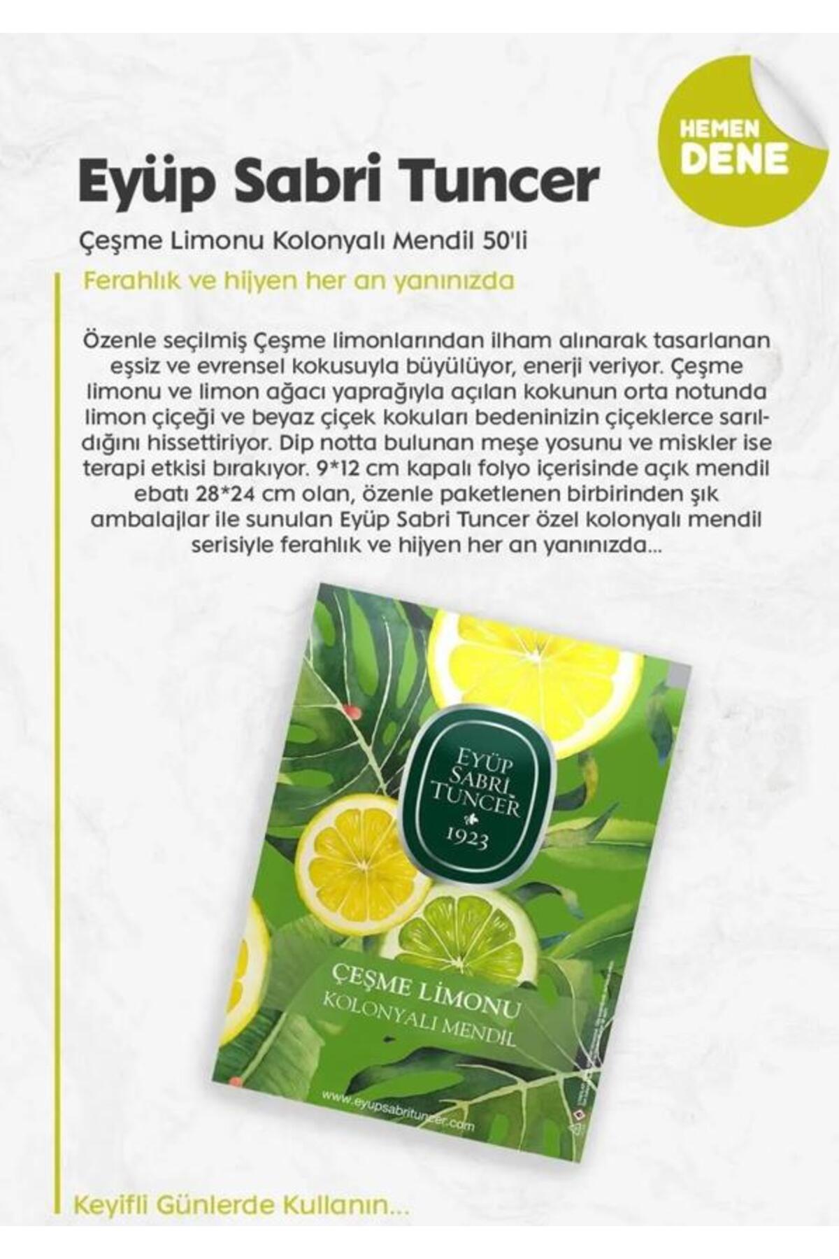 Eyüp Sabri Tuncer Limon 50'li, 150'li Okyanus ve Mandalinalı, Avokadolu Losyon 500 ml Rosie fotoğrafı 3 (önizleme)