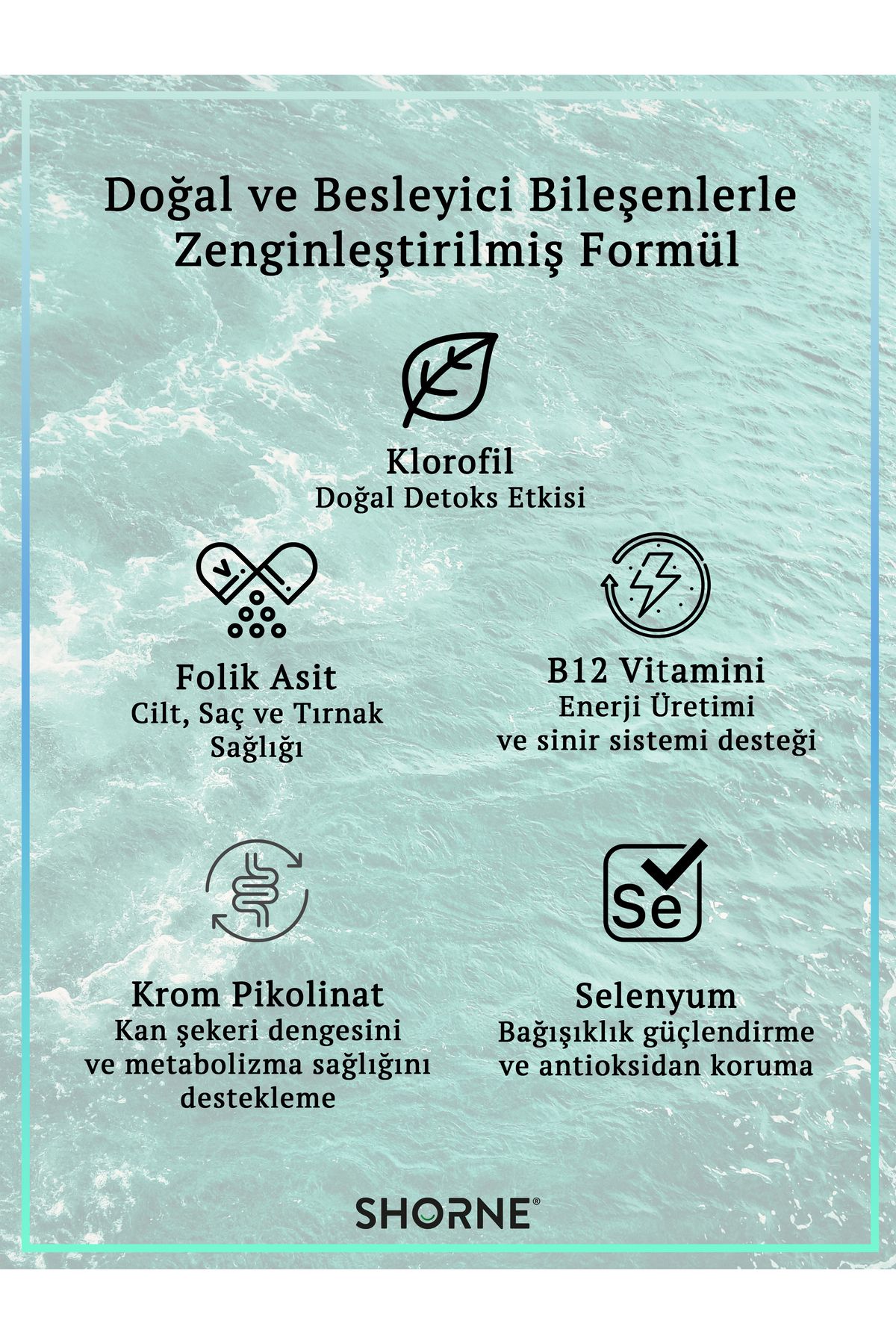 Shorne-Liquid Chlorophyll and Folic Acid - Chrome Picolinate, Selenium andVitaminB12MultivitaminFood Supplement 3