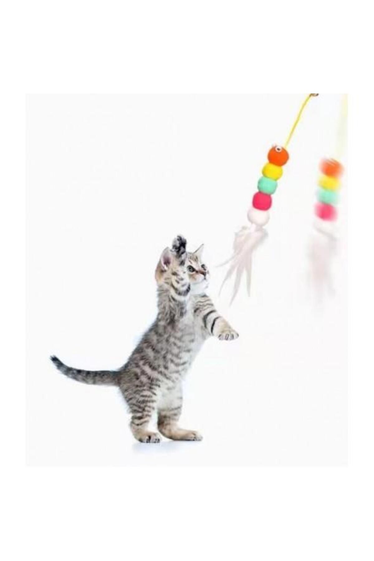 Peddy-Cat Toy Adhesive Fishing Rod Training Toy Self Adhesive Extending Colorful Cat Play Fishing Rod 4