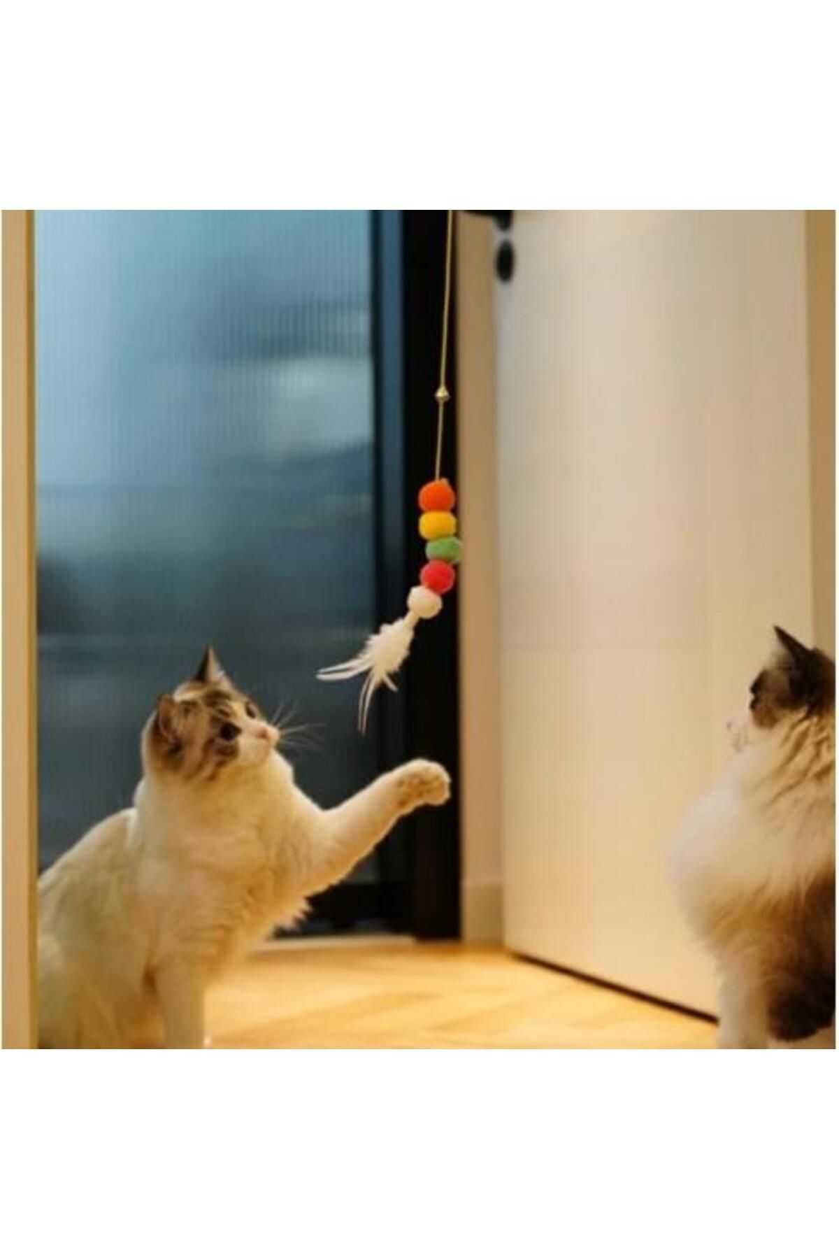 Peddy-Cat Toy Adhesive Fishing Rod Training Toy Self Adhesive Extending Colorful Cat Play Fishing Rod 1