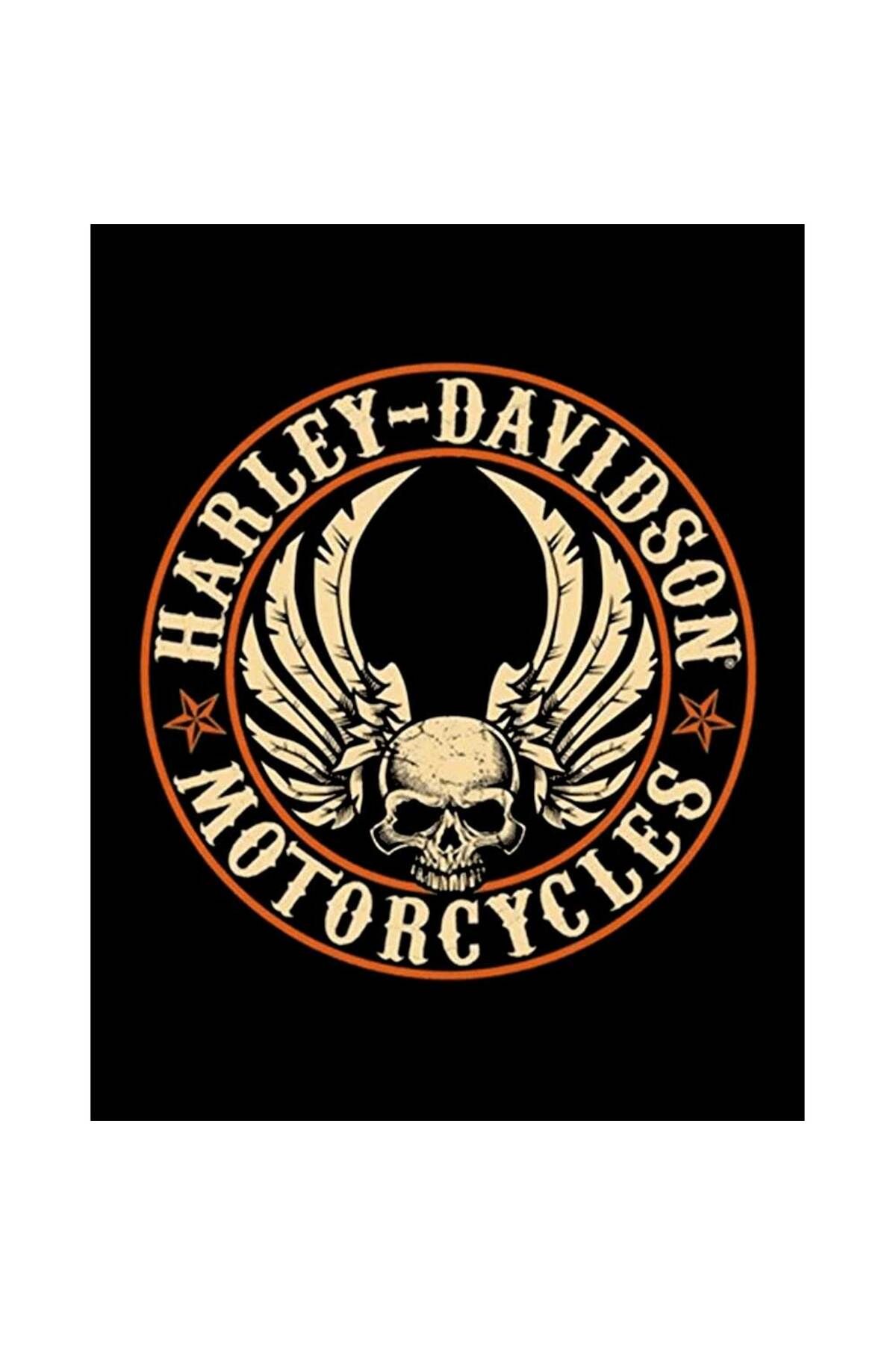 Z zepplin Harley Chopper Wings Skull Büyük Sırt Patch Yama