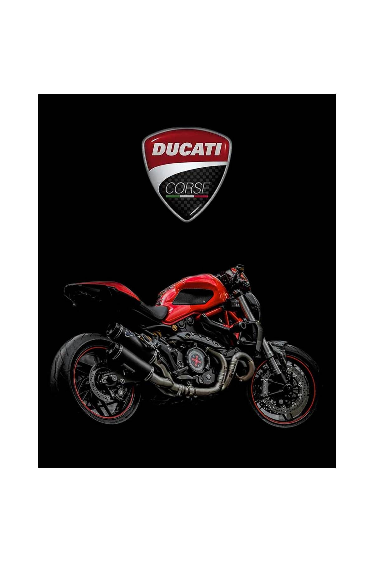 Z zepplin Ducati Monster Büyük Sırt Patch Yama
