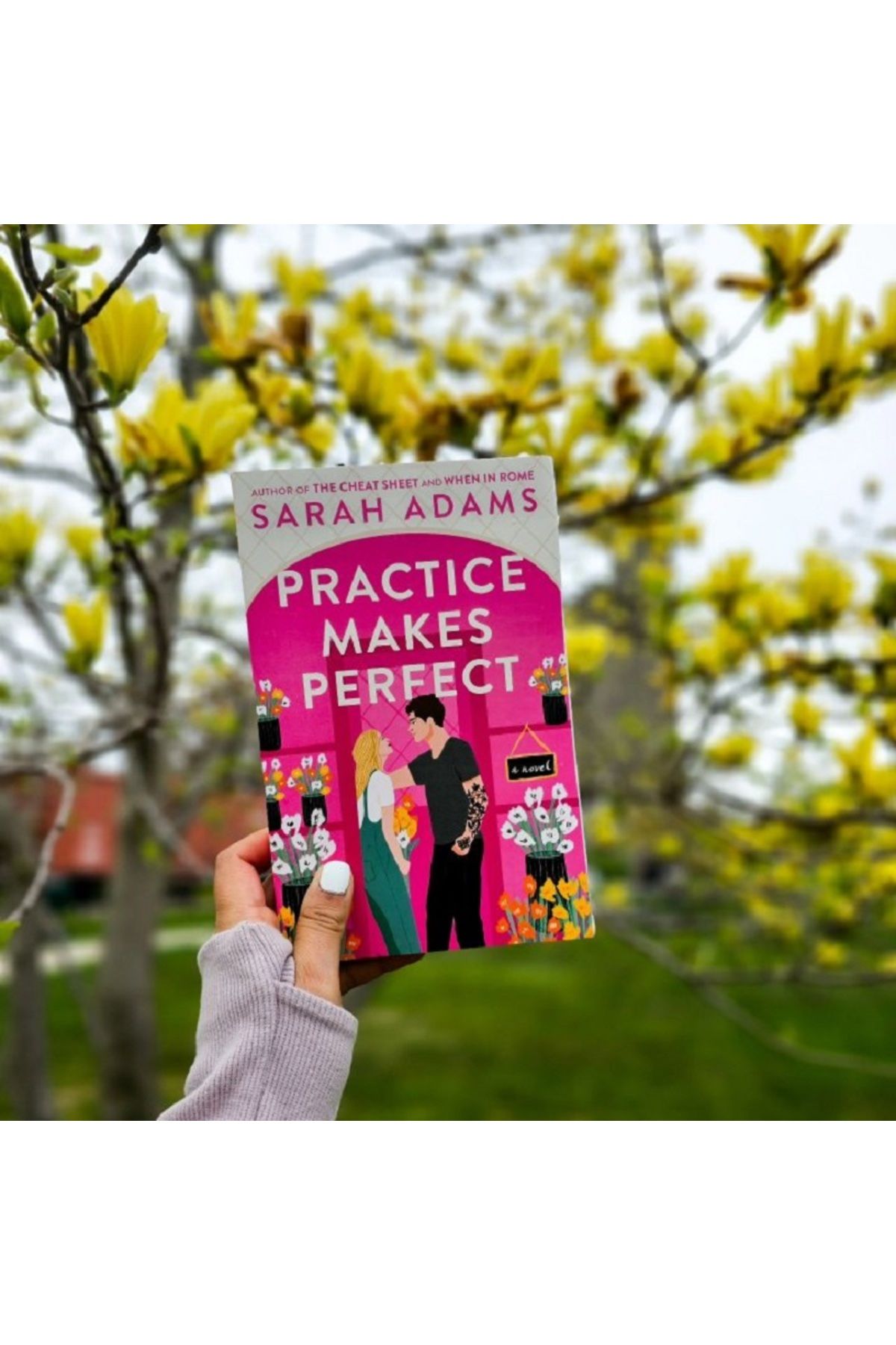 Penguin Books-Sarah Adams' High-Destructive High Performance - Practice Makes Perfect 3