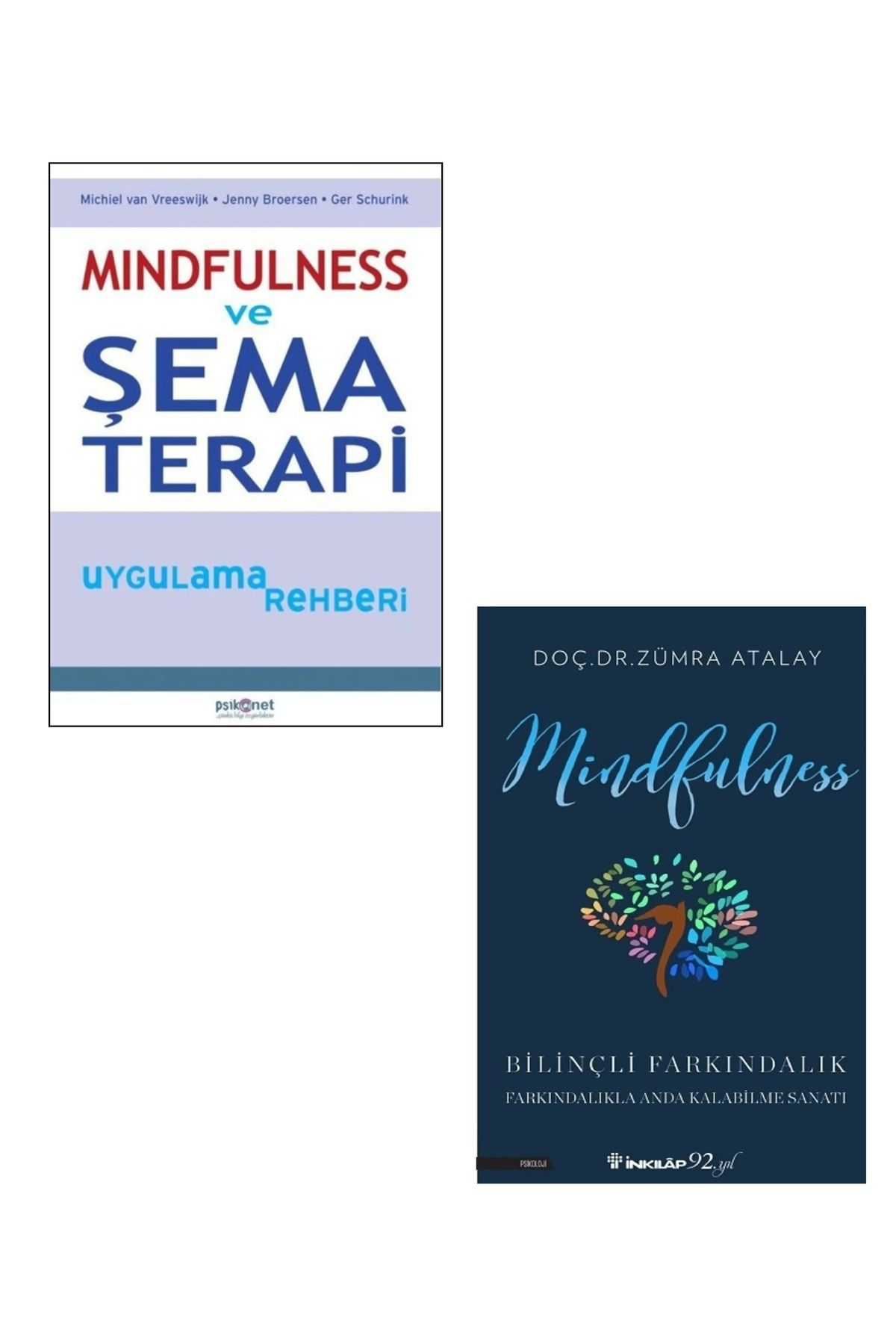 İnkılap Kitabevi 2 Kitaplık Set / Mindfulness Ve Şema Terapi  Uygulama Rehberi # Mindfulness & Bilinçli Farkındalık