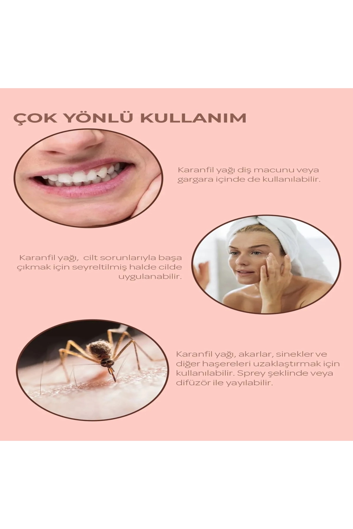 Karanfil Yağı -Karanfil Uçucu Yağı — تصویر 5 از 8
