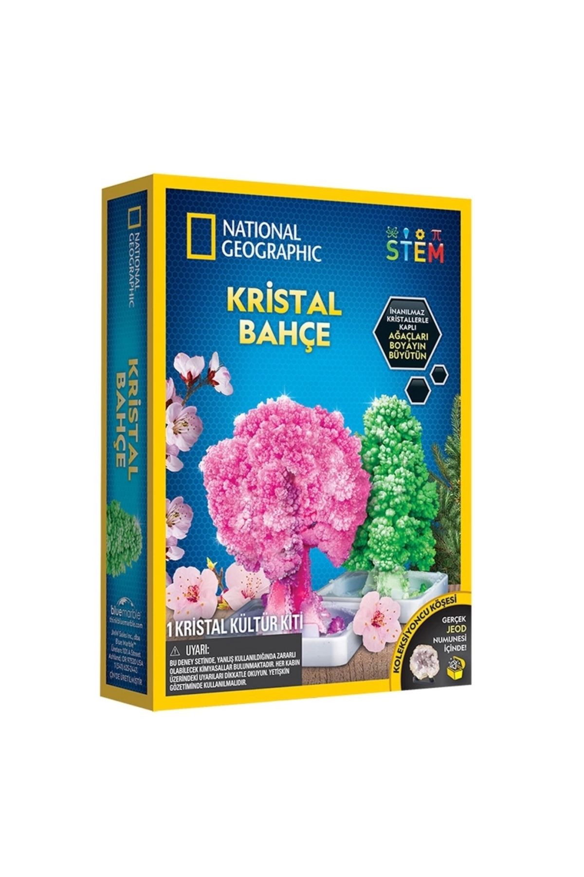 SYNOPE Çocuk Natgeo Kristal Bitki Kiti