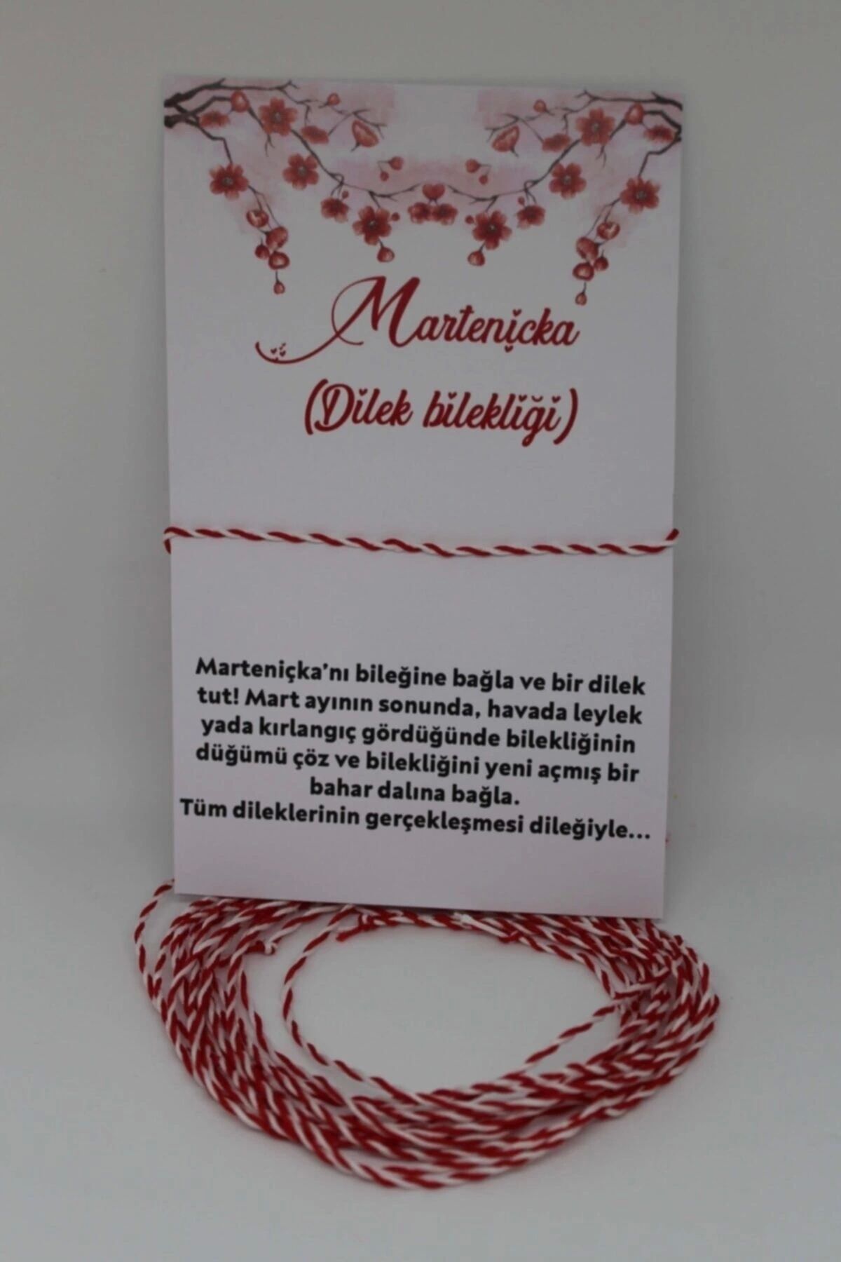 pijamaaskim Marteniçka Bileklik - Dilek Bilekliği - Şans Bilekliği 10'lu