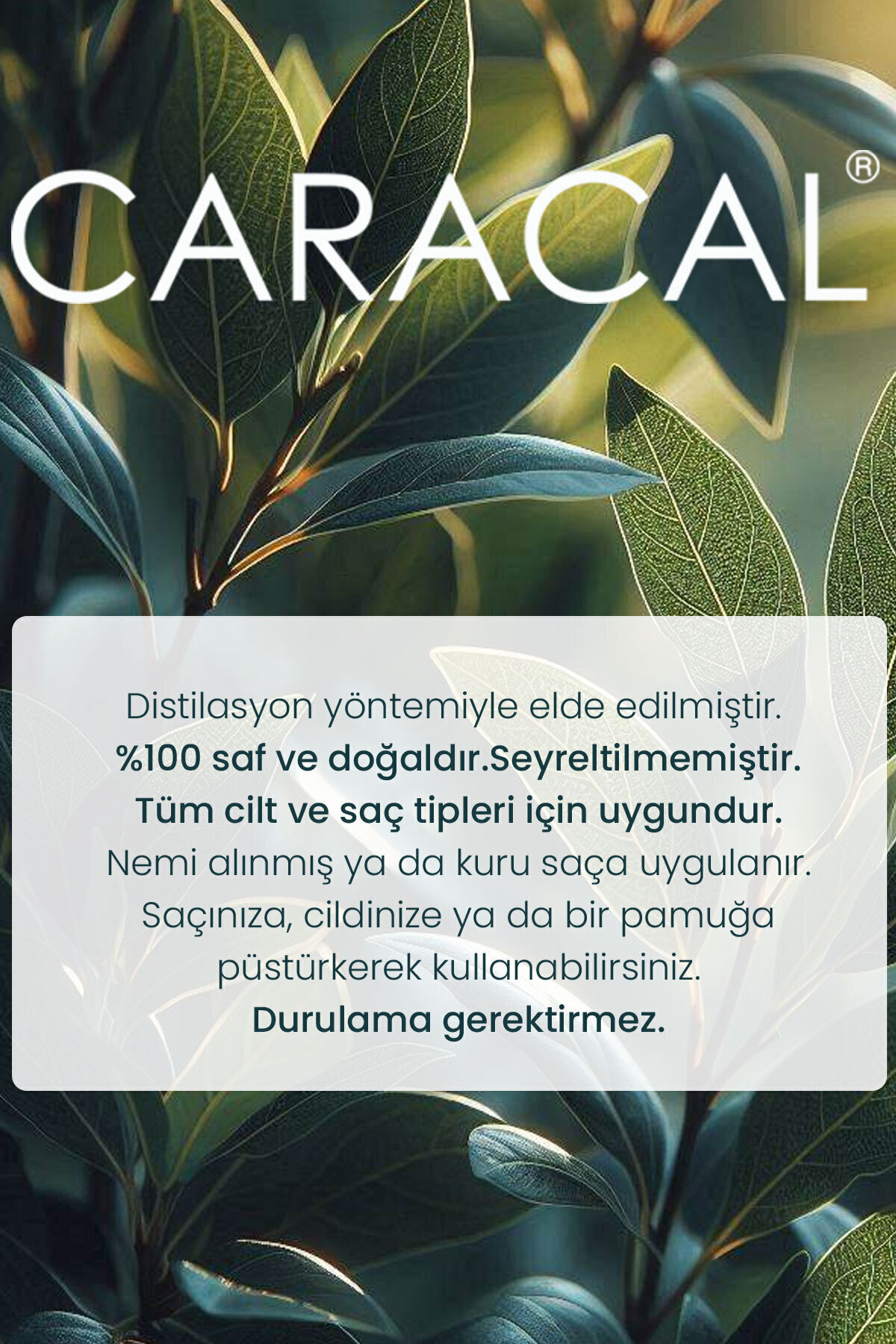 Saf defne suyu saç güçlendirici tonik parlaklık canlılık destekleyici doğal saç spreyi cilt toniği — defne suyu akne sivilce kepek önleyici — تصویر 3 از 4