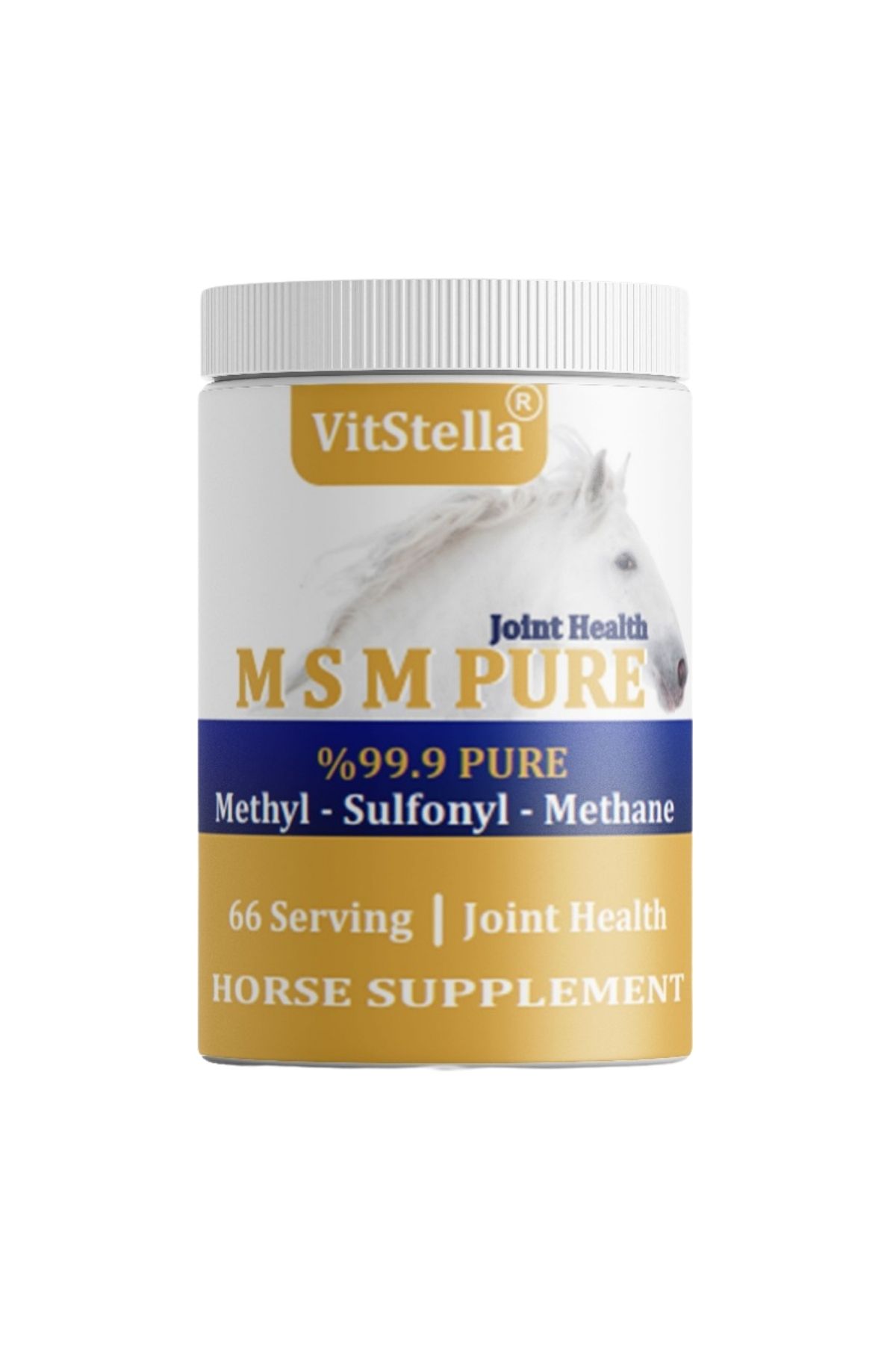 VitStella MSM 1 Kg