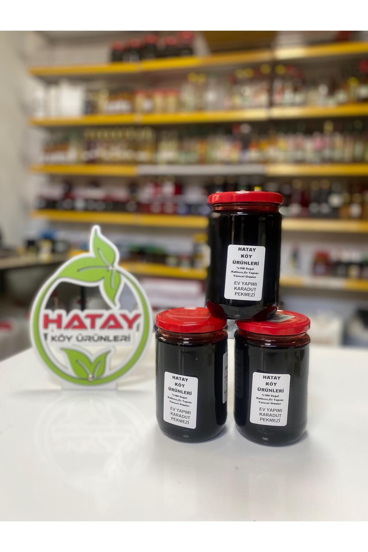 HATAY KÖY ÜRÜNLERİ EV YAPIMI KARADUT PEKMEZİ 850 GR