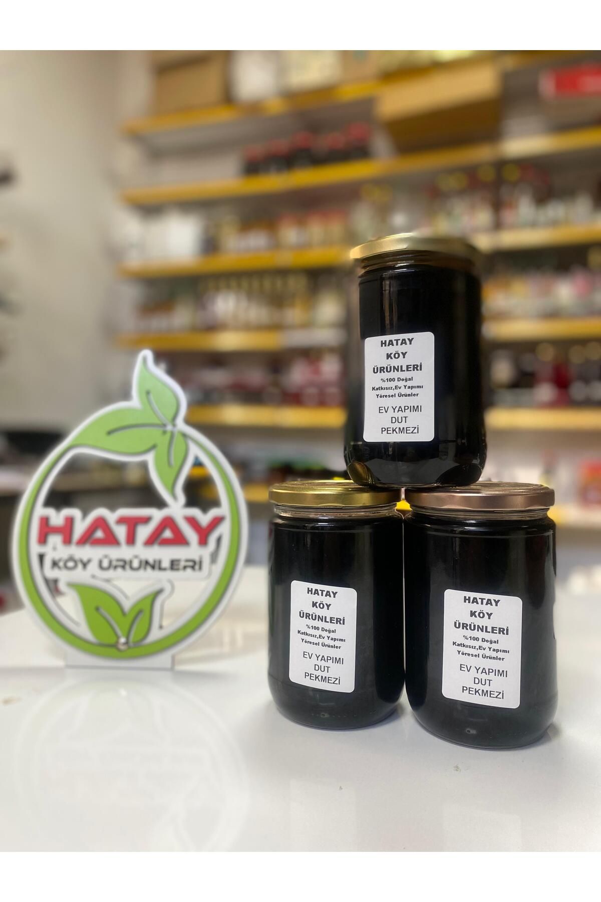 HATAY KÖY ÜRÜNLERİ EV YAPIMI DUT PEKMEZİ 850 GR