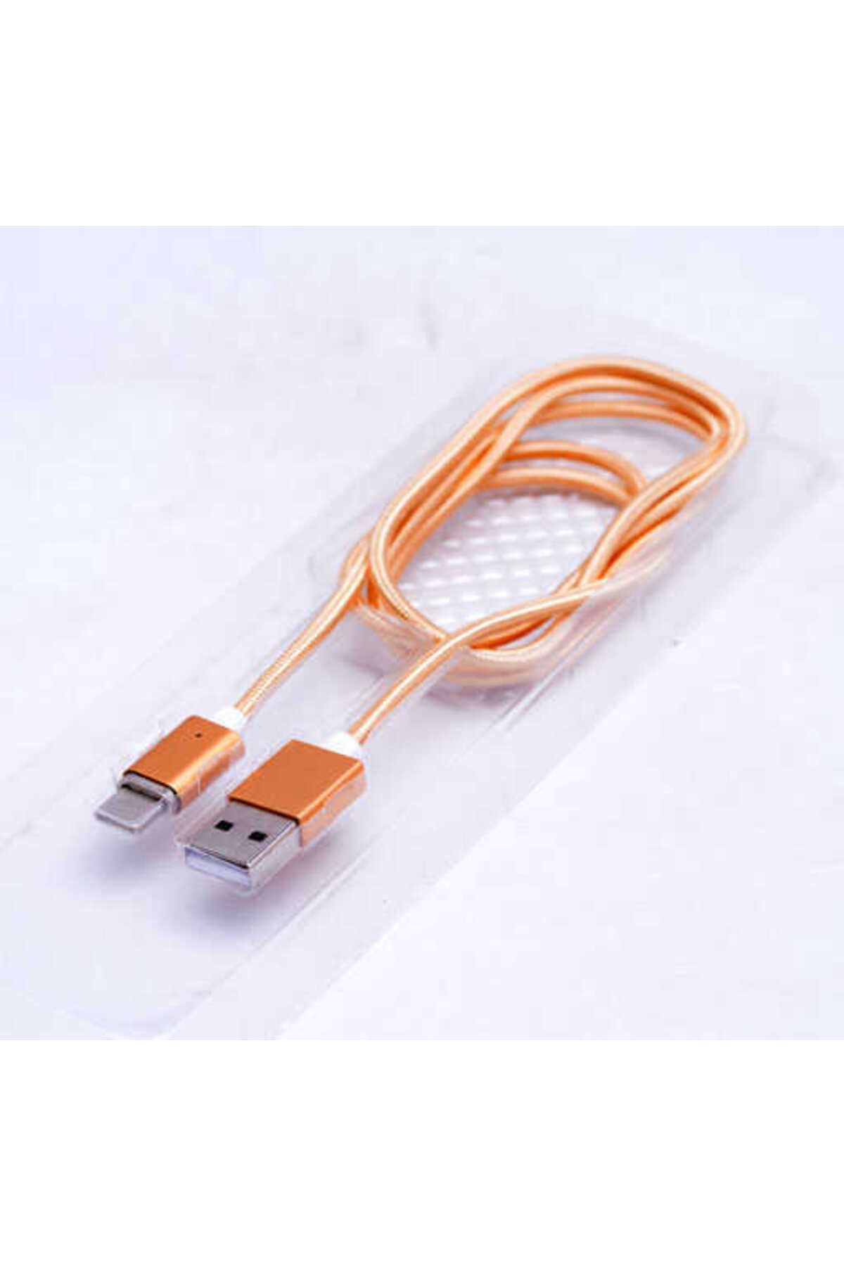 Avid Diva Gold Metal Manyetic Uçlu Lightning Usb Kablo-Zore