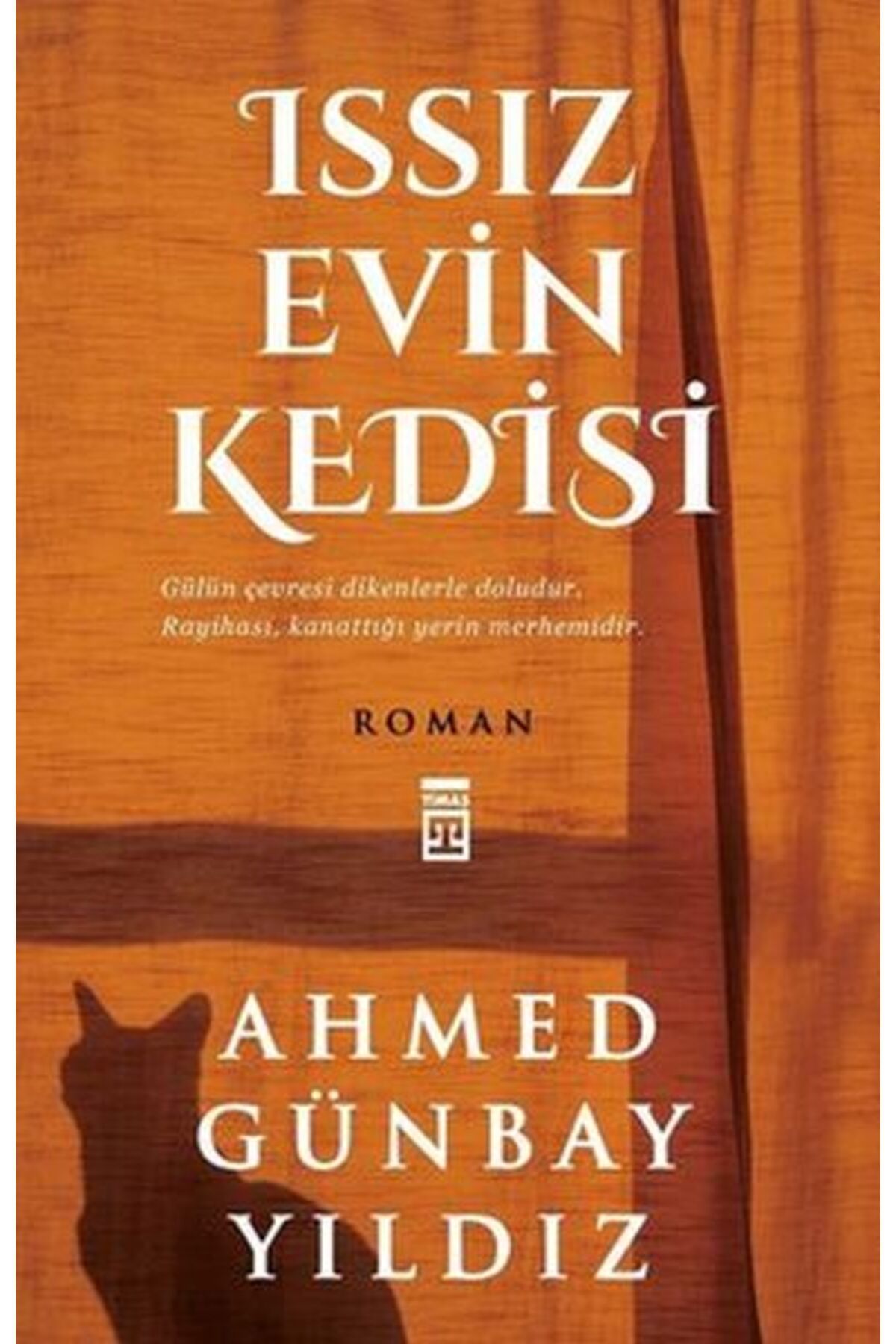 Genç Timaş Yayınları Issız Evin Kedisi