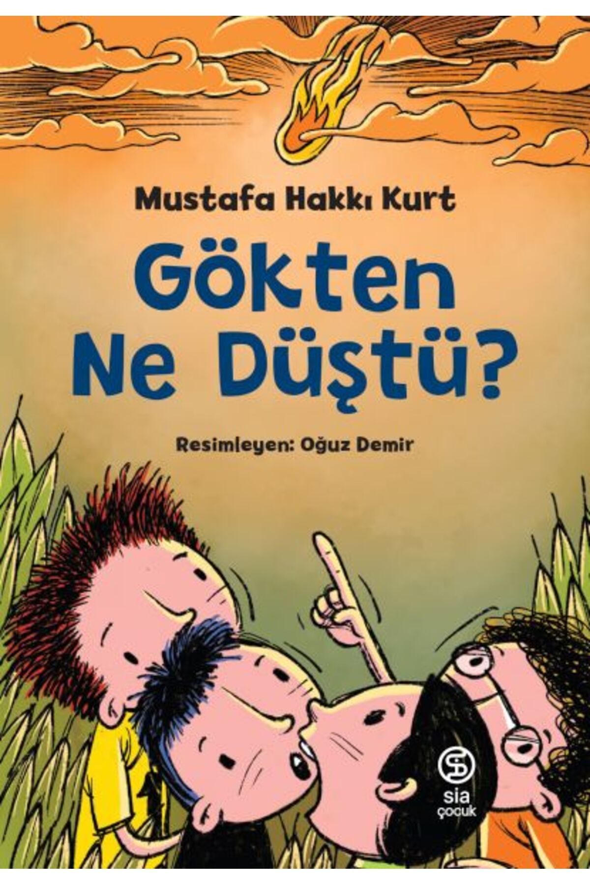 Destek Yayınları Gökten Ne Düştü?
