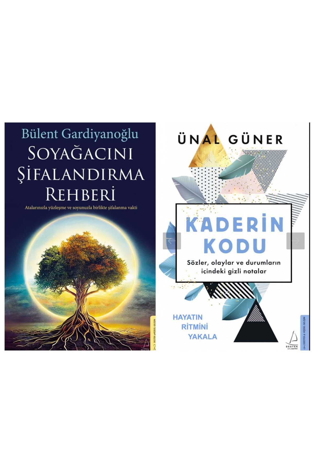 Destek Yayınları Soyağacını Şifalandırma Rehberi/Kaderin Kodu/2 Kitap Set