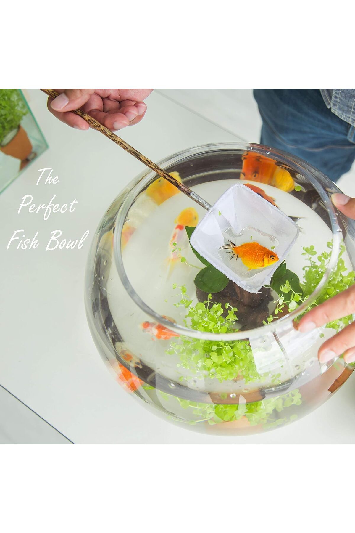 Home Zone-Glass Bubble Bowl (H-7.5" W-10", Approx. 2 Gal.) Multiple Size Choices Fish Bowl Vase 3