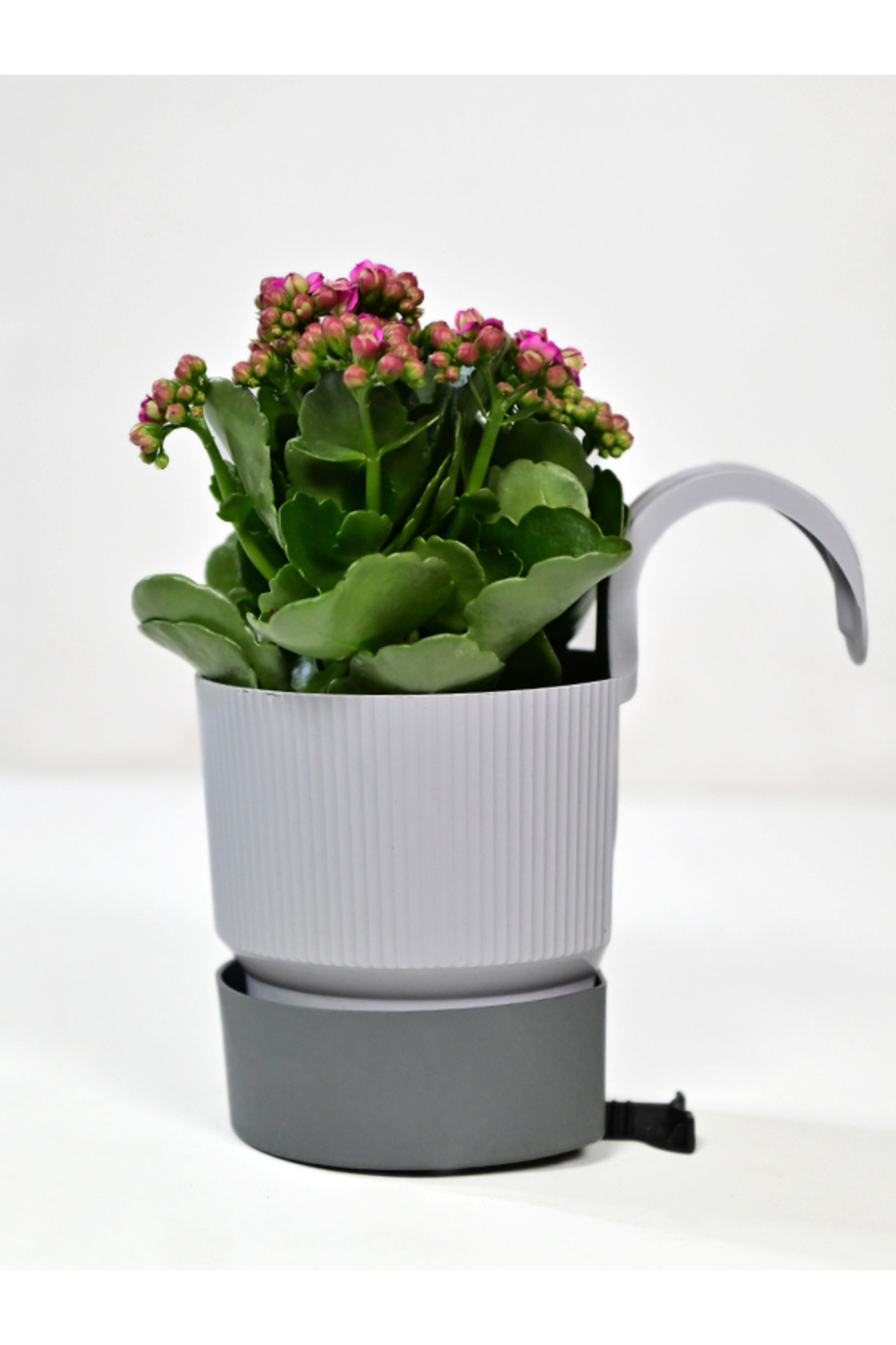 1 PCS IXORA SINGLE HANGING BALCONY FLOWER POT GRAY COLOR 2 LT WIDTH 15 CM HEIGHT 22 CM DEPTH 15 CM