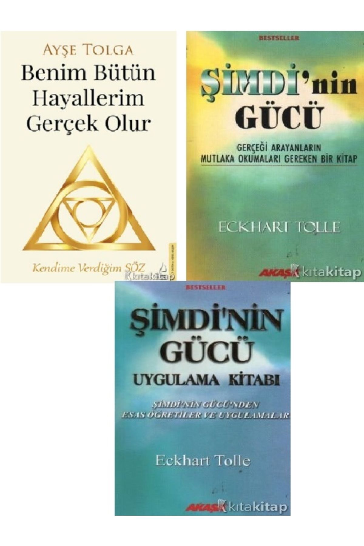 Destek Yayınları Benim Bütün Hayallerim Gerçek Olur-Şimdi’nin Gücü-Ayşe Tolga-Eckhart Tolle 3 KİTAP (ÜCRETSİZ KARGO)