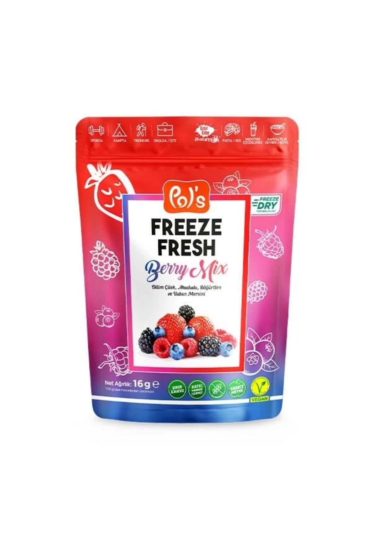 SYNOPE Çocuk Pol’s Freeze Fresh Berry Mix 16 g