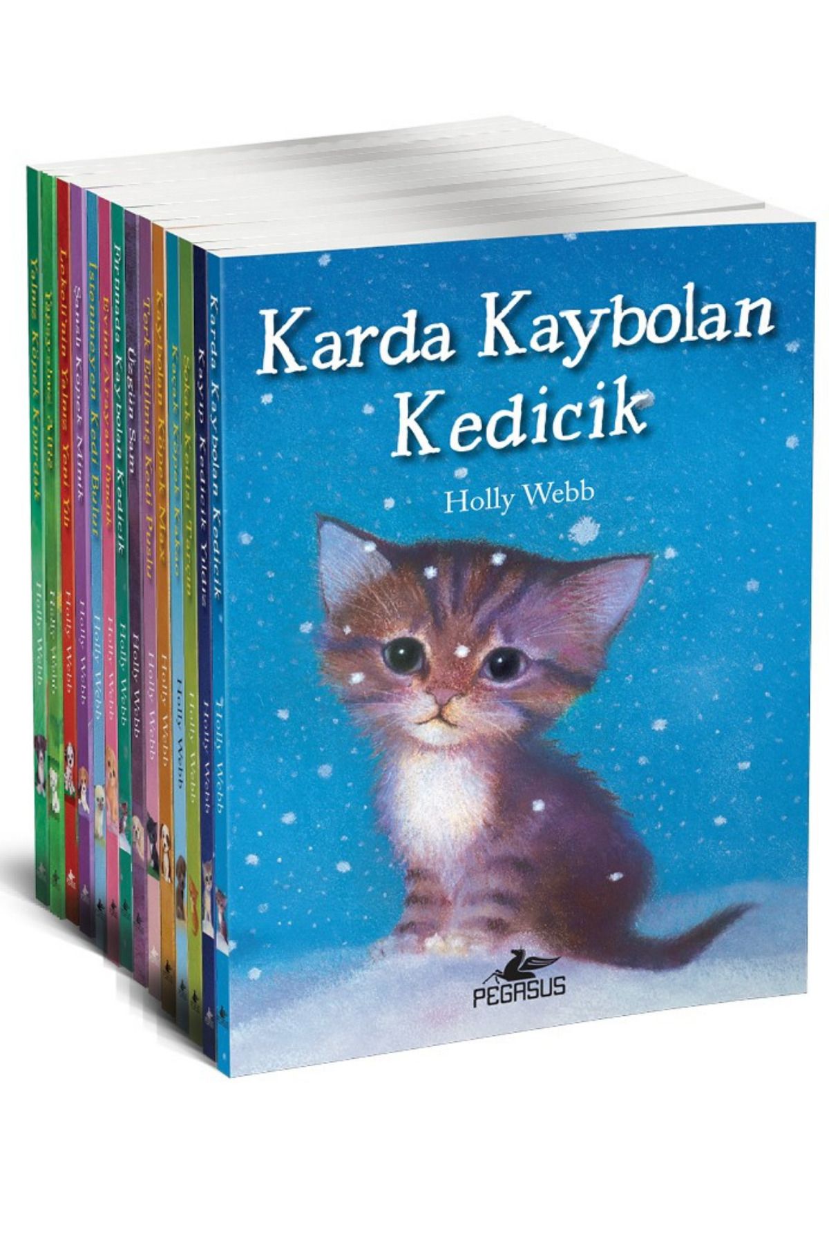 Pegasus Yayınları Minik Dostlar Serisi 14 Kitap Set - Holly Webb