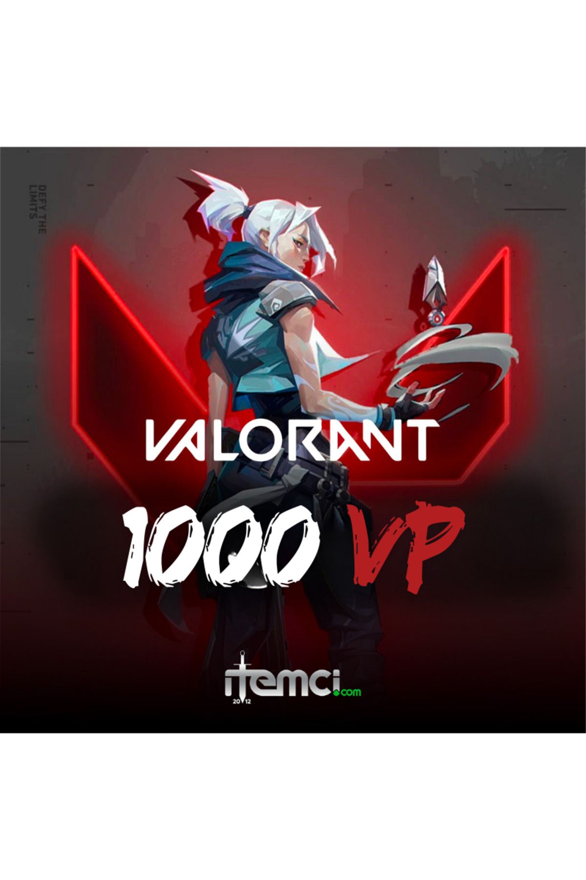 Riot Games Point 1.000 VP - TR