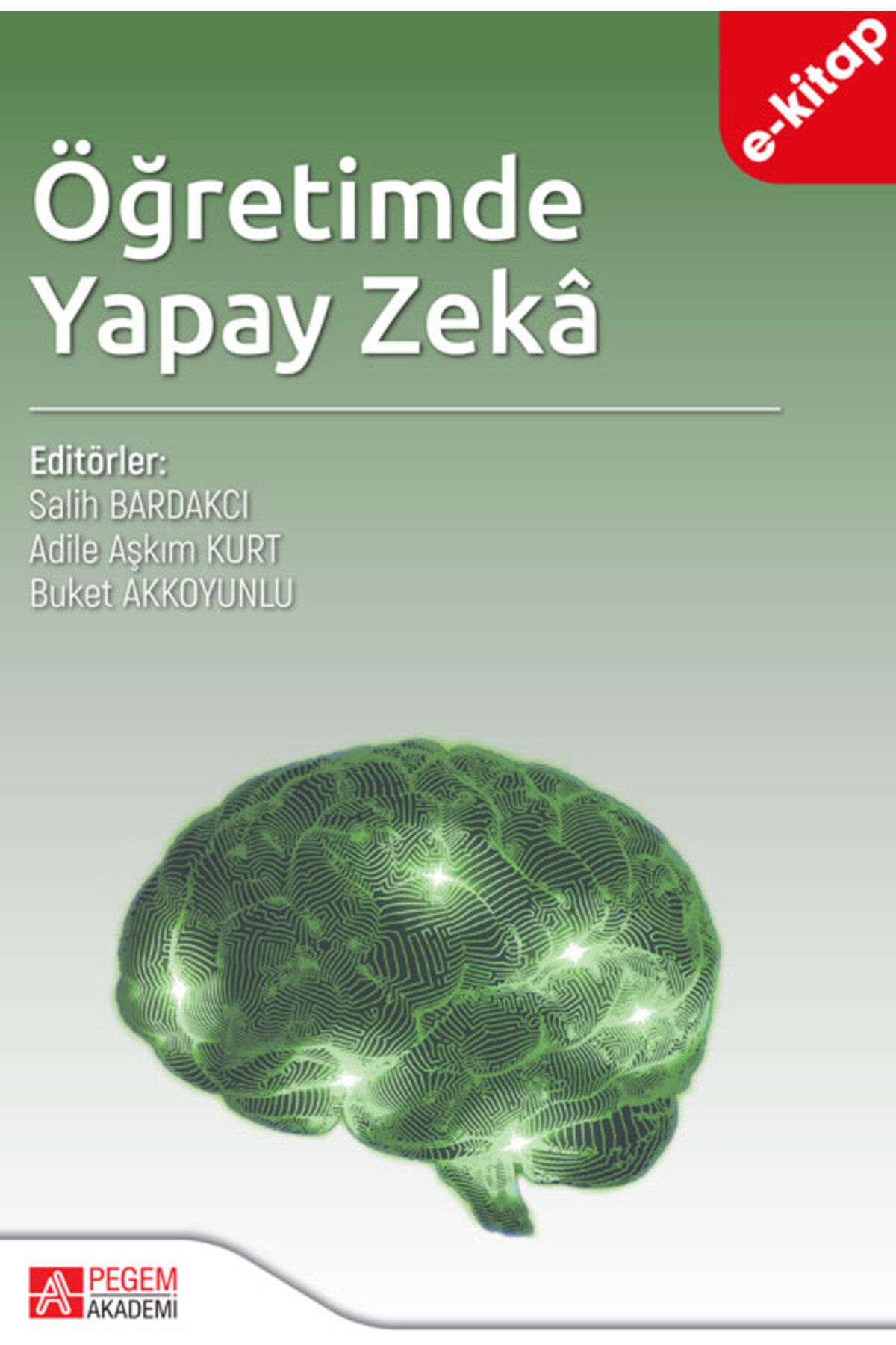 Pegem Akademi Öğretimde Yapay Zeka (e-kitap)