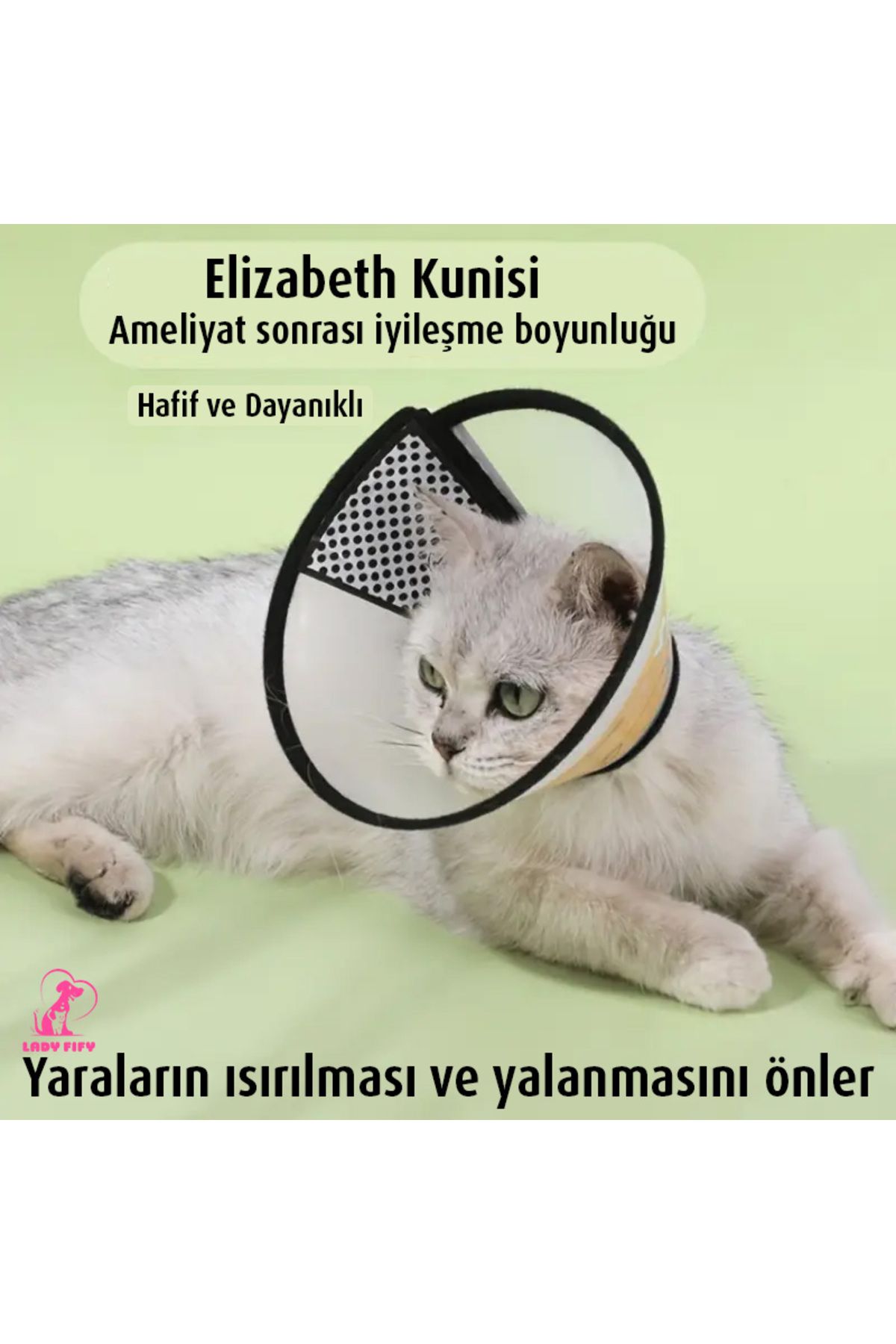 Lady Fify Kedi Köpek İçin Ameliyat Sonrası İyileşme Boyunluğu (elizabeth Konisi)