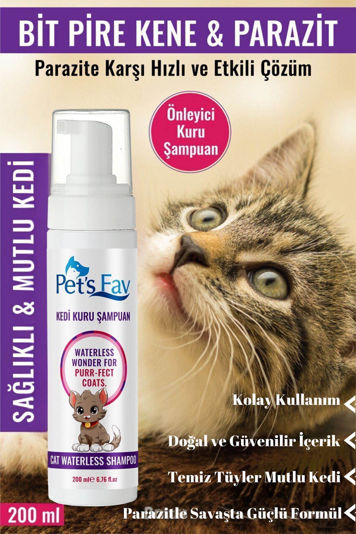 Pets Fav Kedi Bit Pire Kene ve Parazit Önleyici Kuru Köpük Şampuanı