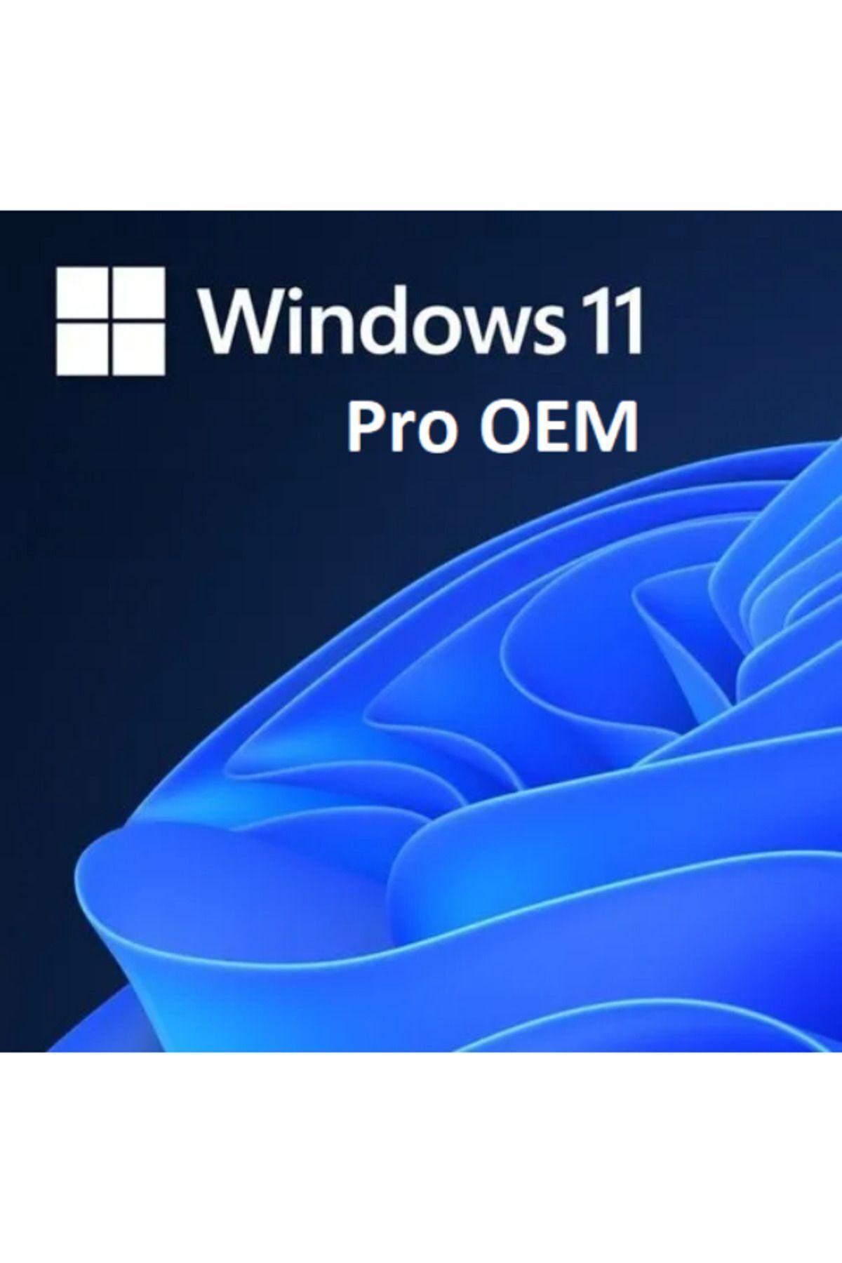 MICROSOFT Windows 11 Pro OEM Dijital Lisans Anahtarı Hemen Teslim