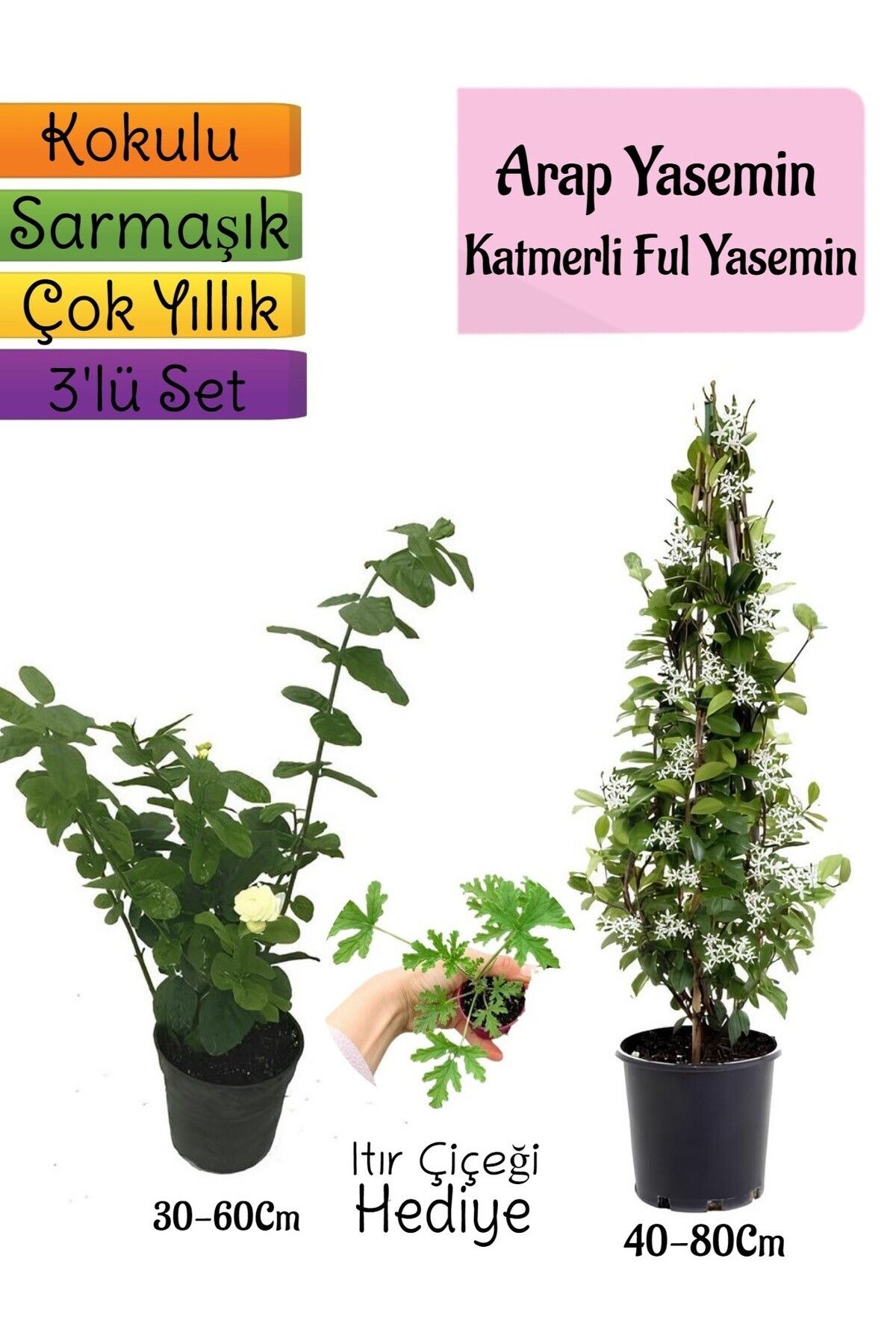 Bitkim Sende Çok Avantajlı Kokulu Arap Yasemini+Katmerli Ful Yasemin+Itır Çiçeği Hediyeli