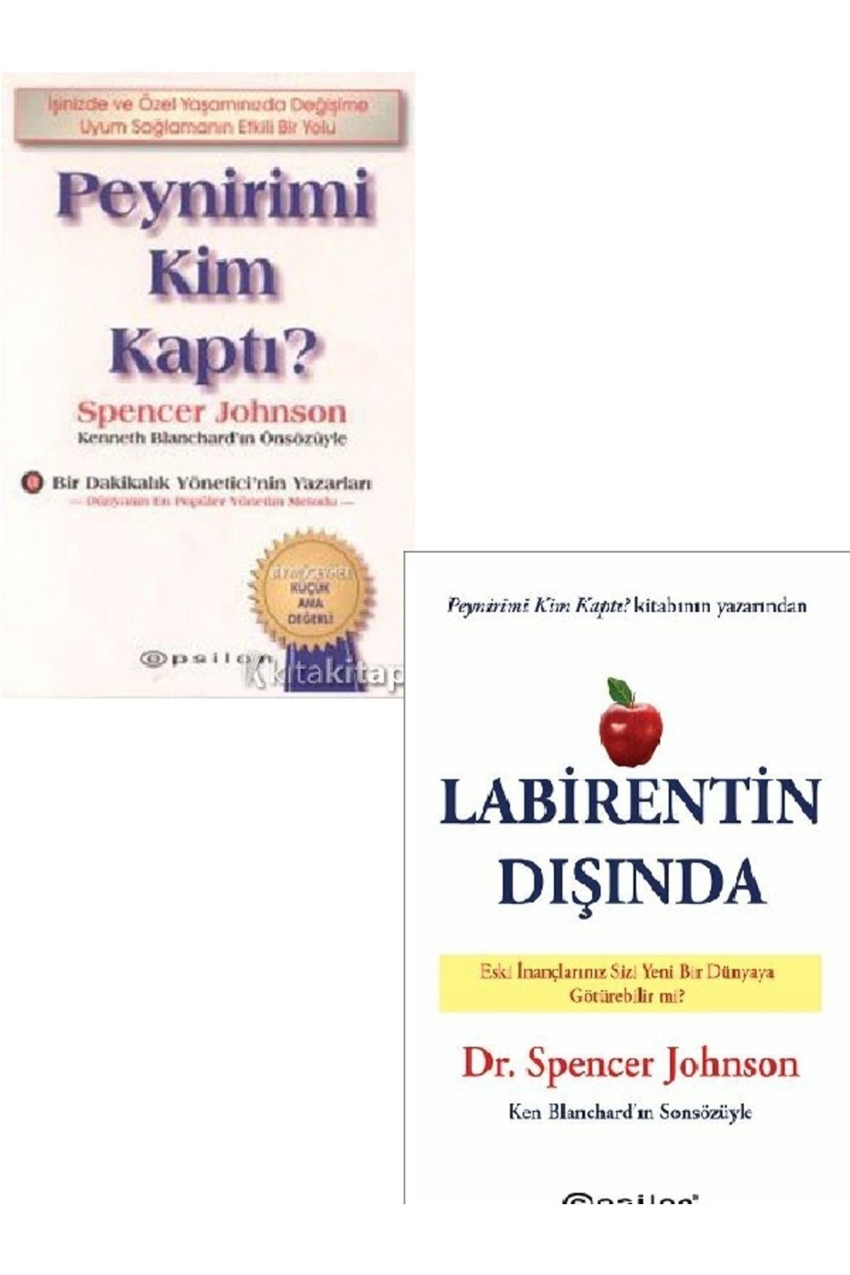 Destek Yayınları Peynirimi Kim Kaptı?-Labirentin Dışında-Spencer  2 KİTAP SET ( ÜCRETSİZ KARGO )