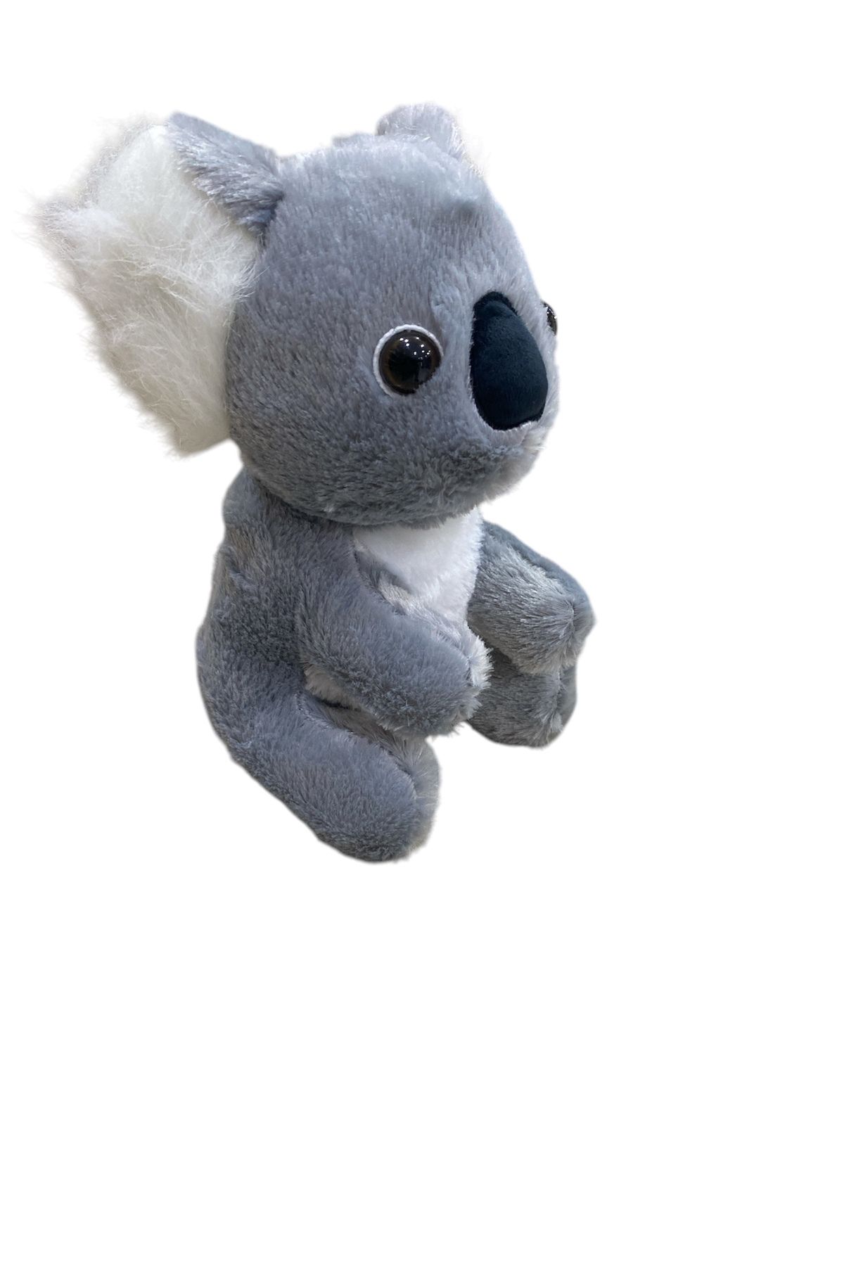 peluş Koala