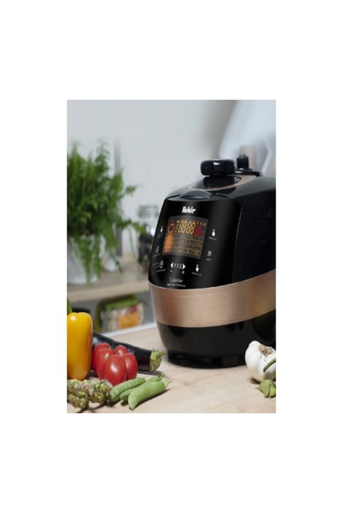 Fakir All In One Buharlı Pişirici 1300 W fotoğrafı 2 (önizleme)