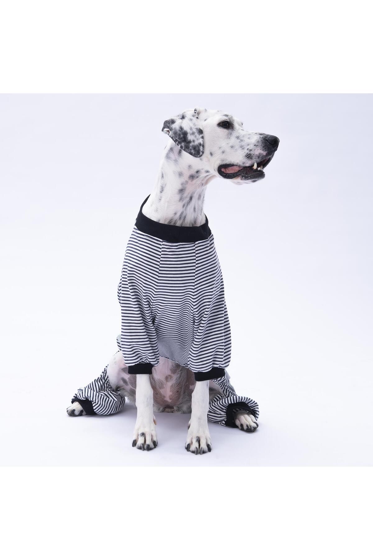 Pawstar-Medium and Large Breed Dog Pajamas with Black Stripes - Dog Jumpsuit - Dog Outfit (15 Kg-45 kg) 4