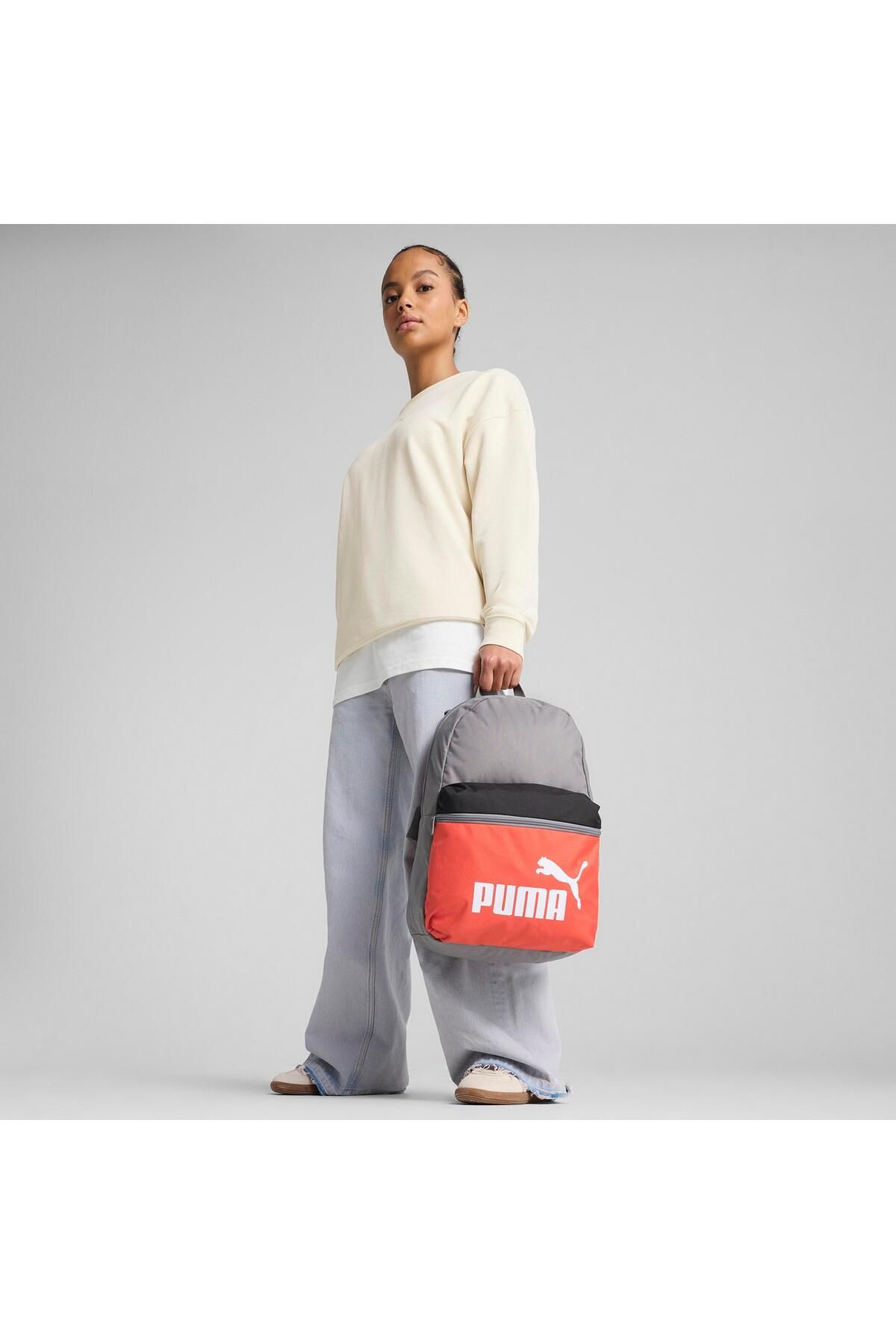 Puma Phase Color Block Rucksack Gusseisen - One Size
