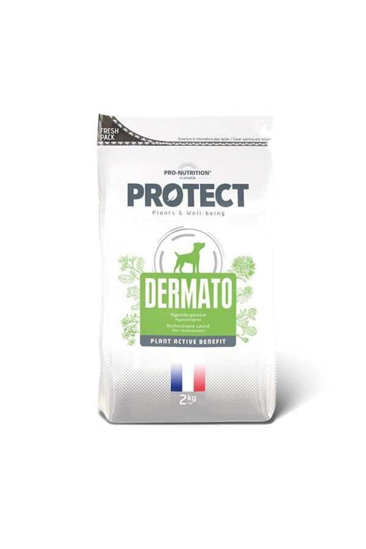 Pro Nutrition Protect Dermato Hypoallergenic Cilt Sağlığı Destekleyici Yetişkin Köpek Maması 2 Kg