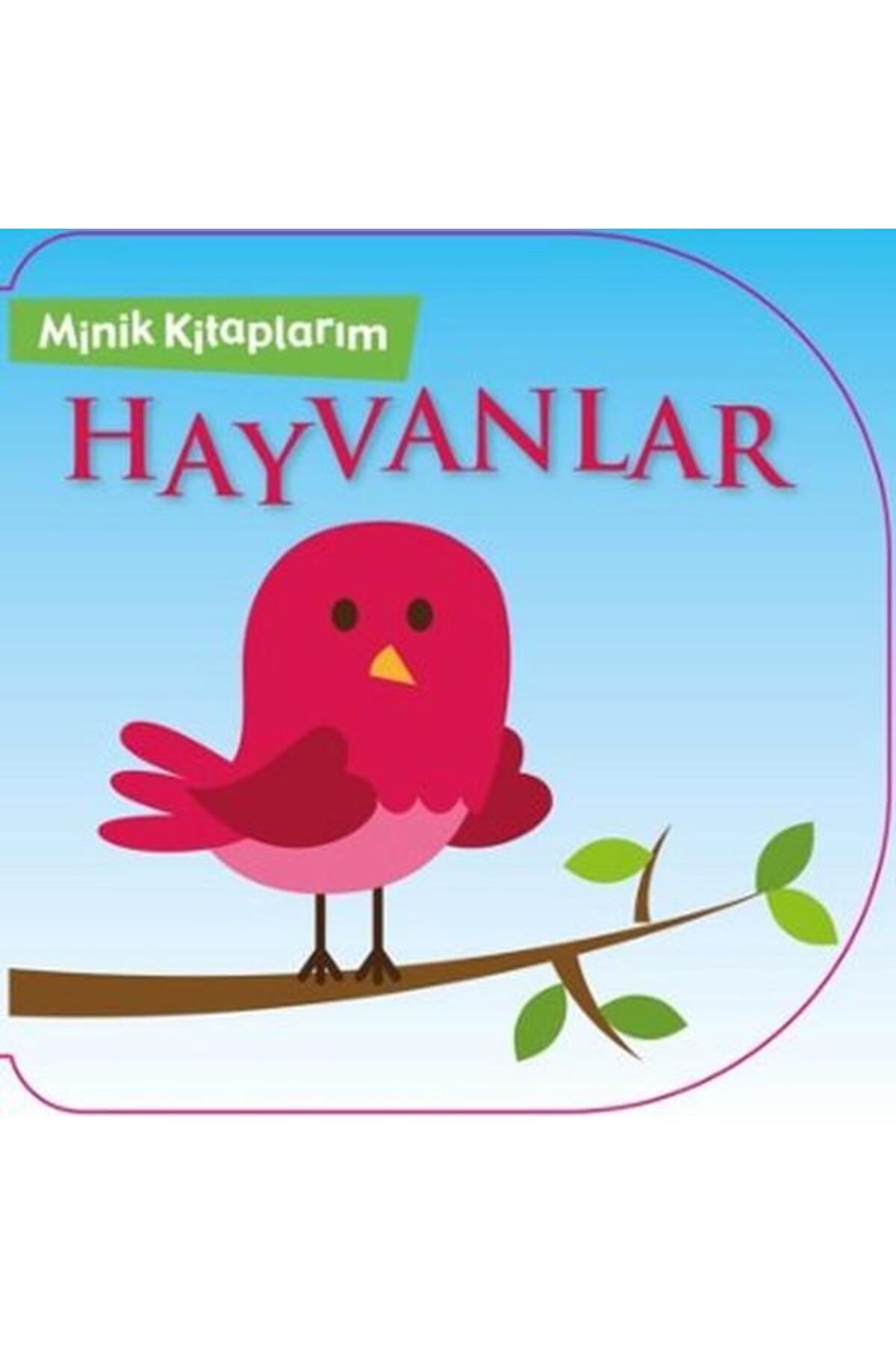 Net Çocuk Yayınları Minik Kitaplarım Hayvanlar