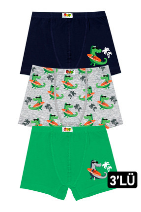 Öts Erkek Çocuk 3'lü Renkli Dinozor Baskılı Pamuklu Likralı Boxer