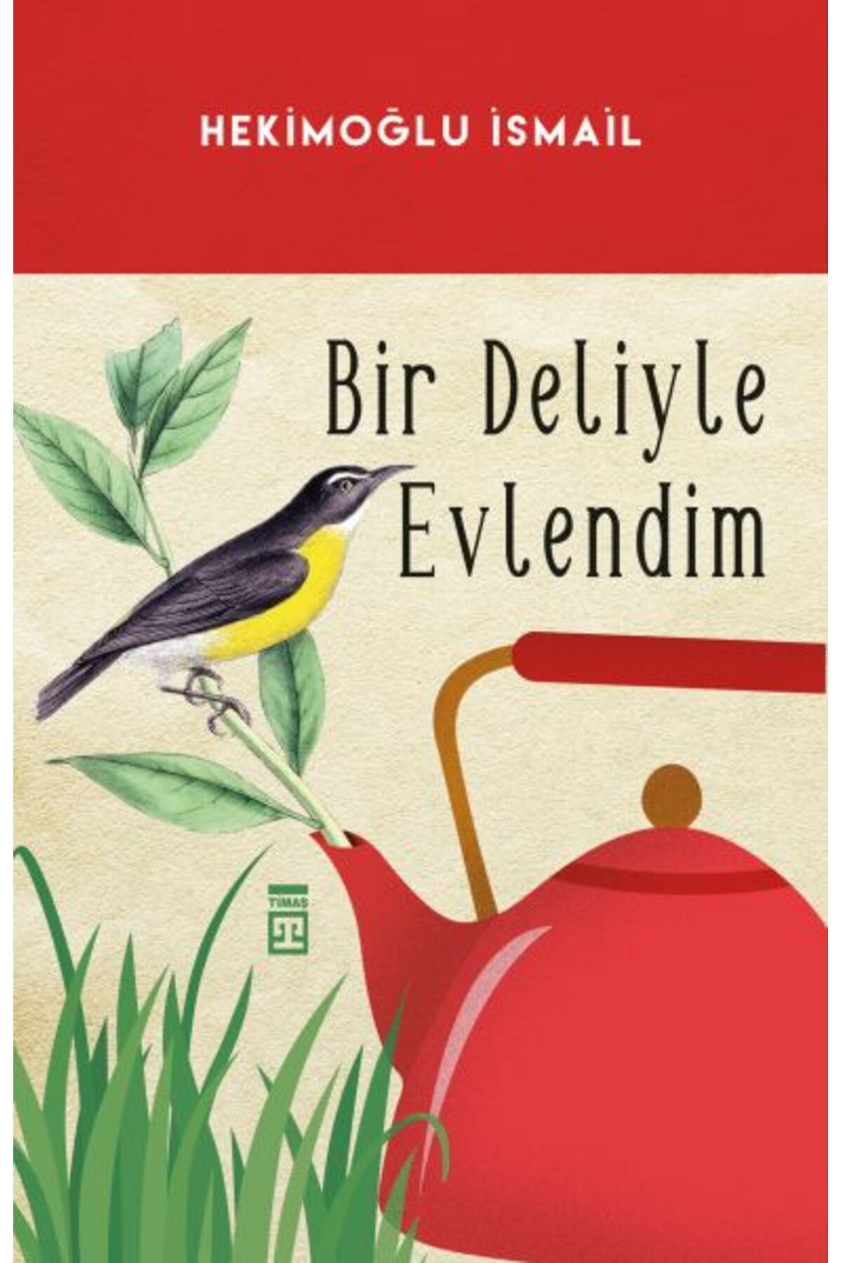 Timaş Yayınları Bir Deliyle Evlendim