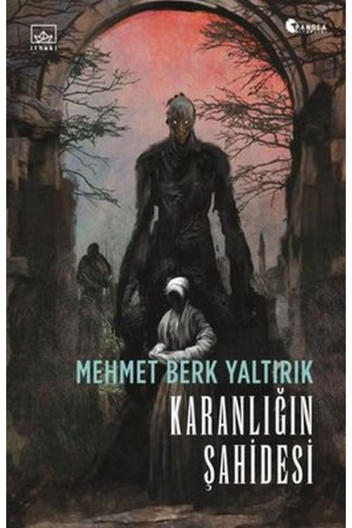 Destek Yayınları Karanlığın Şahidesi