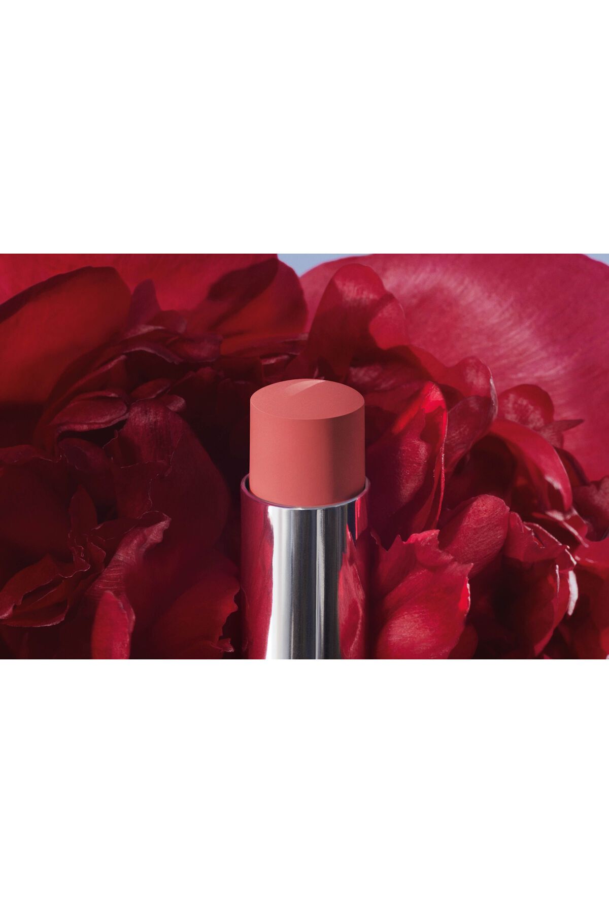 Dior-Intensely Pigmented Nourishing Mat - Extraordinary Texture, Finished Lipstick 3.2g 458 Keynew169 2