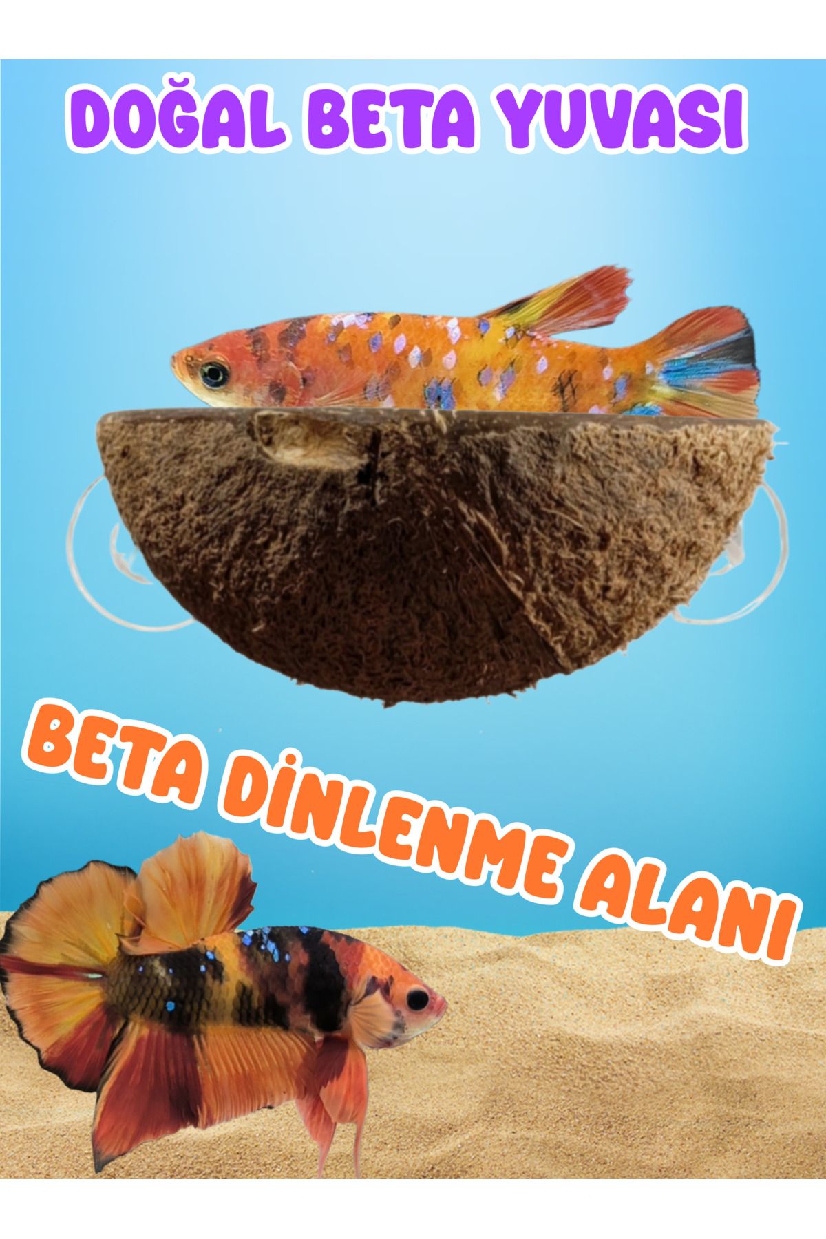 MDİZMİR Beta Dinlenme Alanı Ayalarnabilir Dinleme Alanı Beta , Kaplumbaga , Lepistes vb Türer için Kullanım